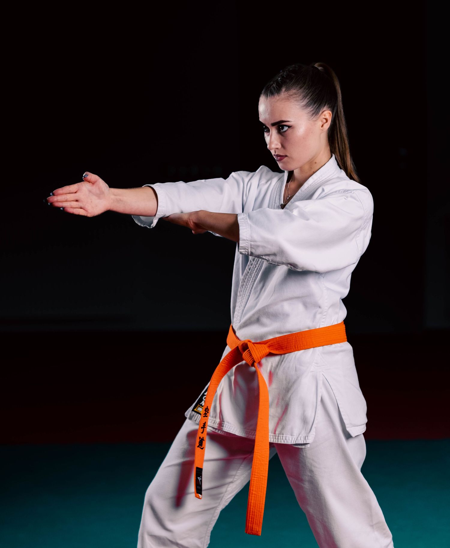 Karate, kovos menai, karate portretai, sporto fotografija