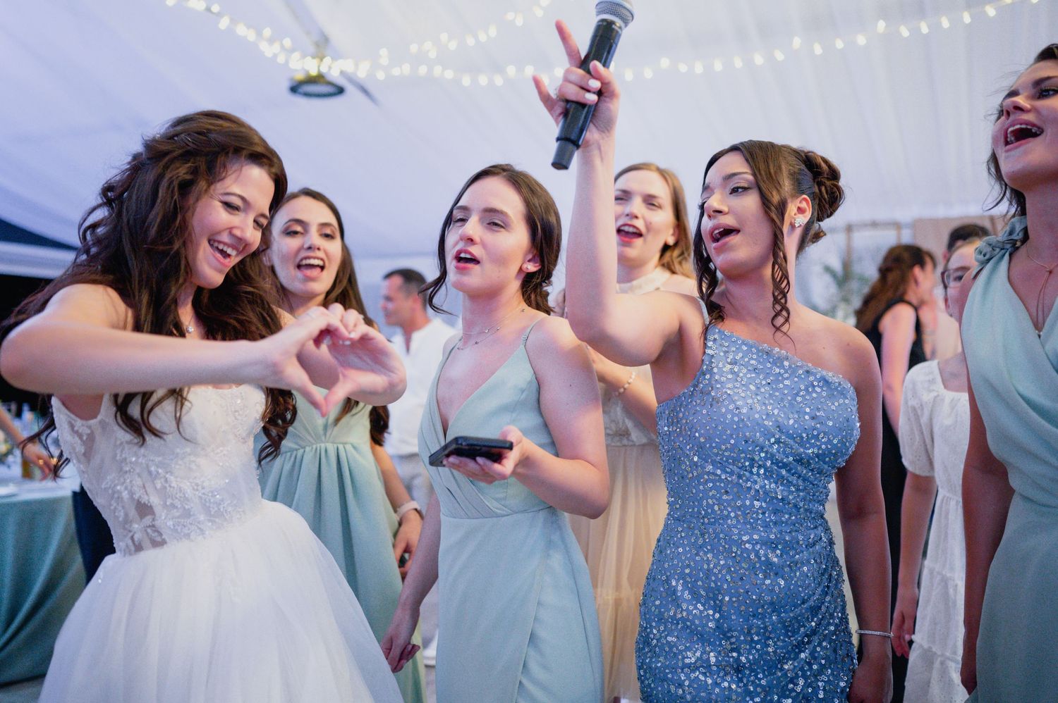Wedding guests sing and dance with microphone during reception party.