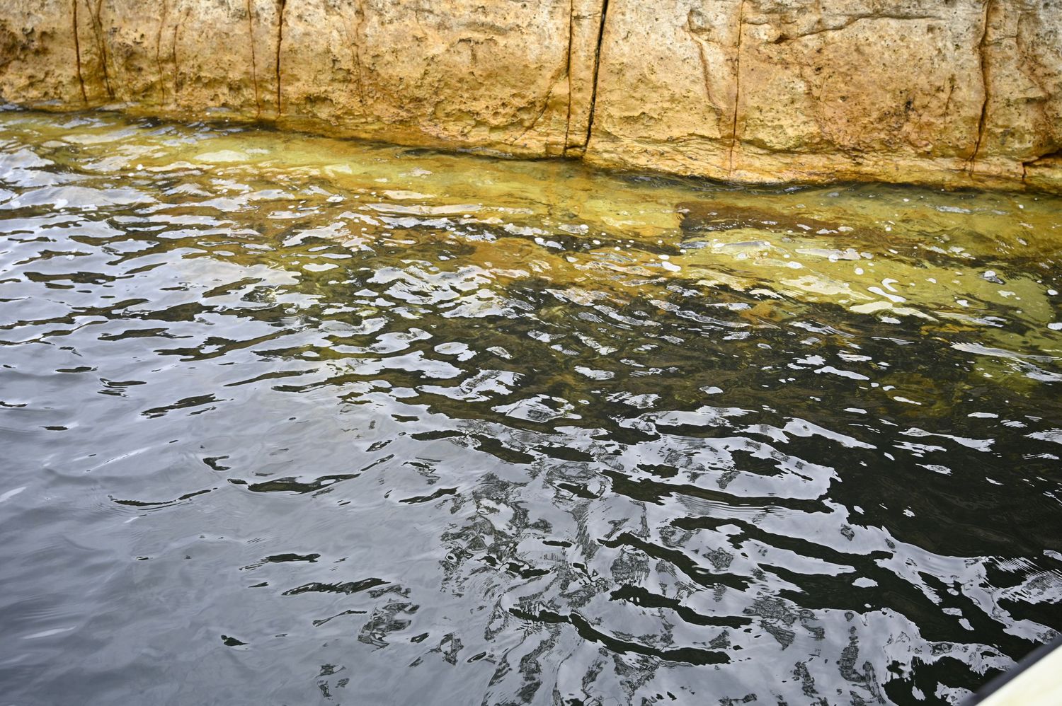 Dark rippling water against a weathered stone wall with green algae growth along the waterline.