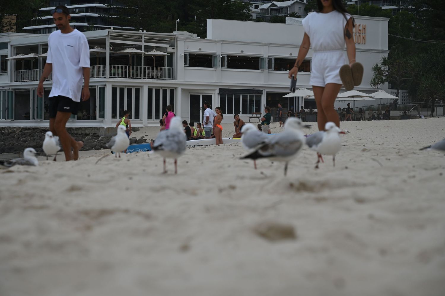 Seagulls gather on white sandy beach as pedestrians walk past a white beachfront building.