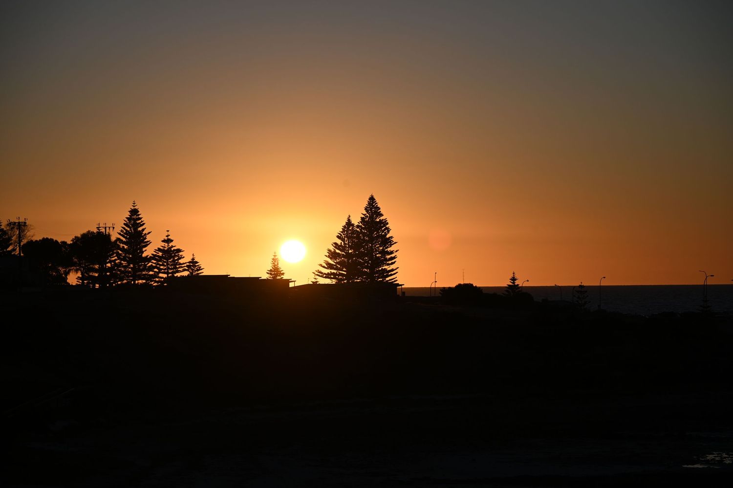 Stunning golden sunset silhouetting tall pine trees and flat landscape against vibrant orange and yellow sky at dusk.