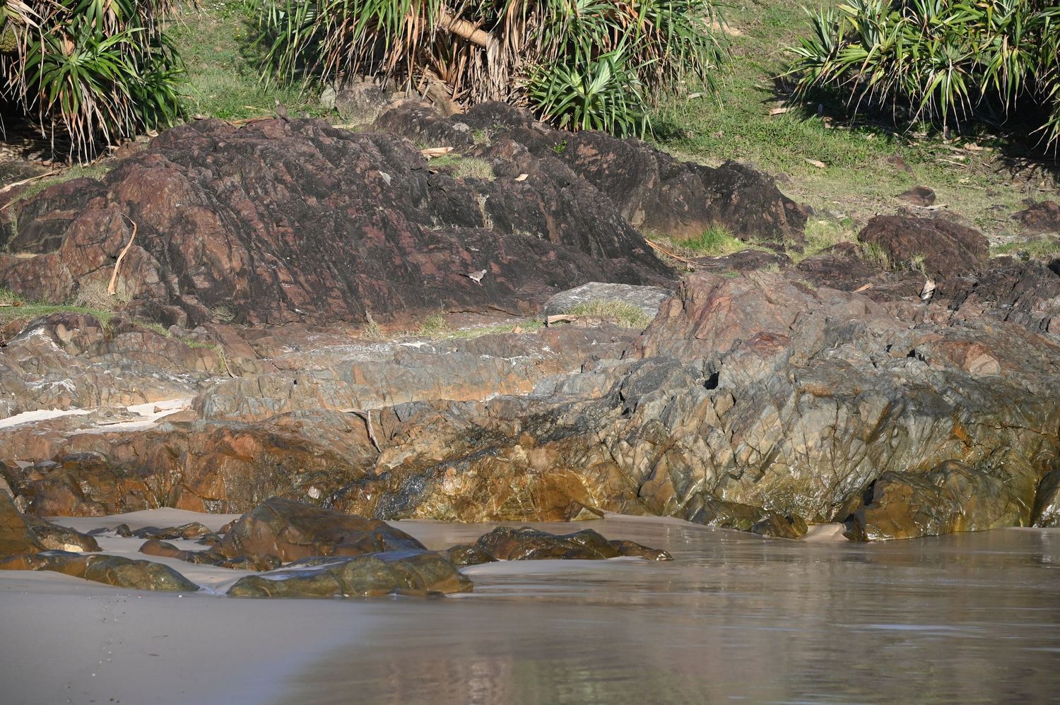 Rocky riverbank with layered sedimentary rocks and lush green vegetation along a calm river shoreline.