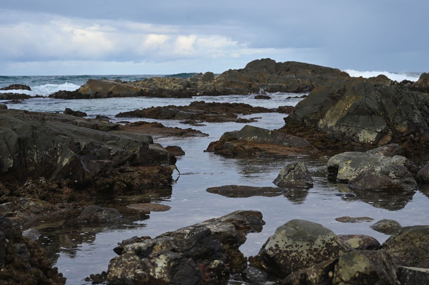 Rocky coastal tide pools with dark boulders and calm shallow water under an overcast sky at low tide.