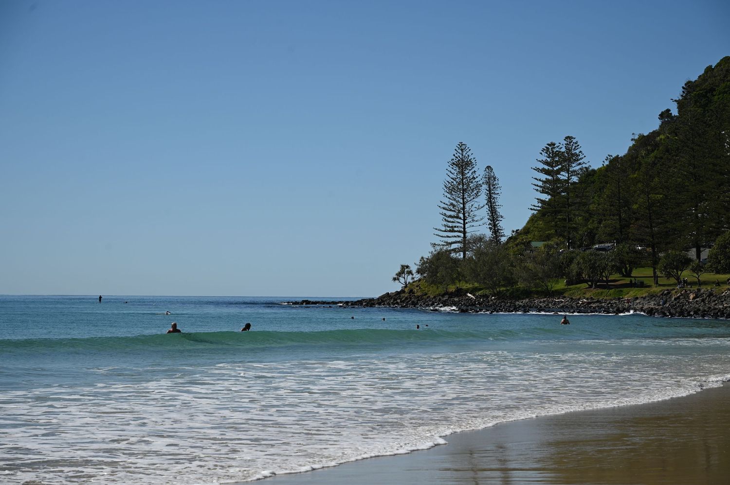 Surfers riding gentle waves at a scenic beach with lush green headland, tall pine trees, and rocky coastline under clear blue sky.