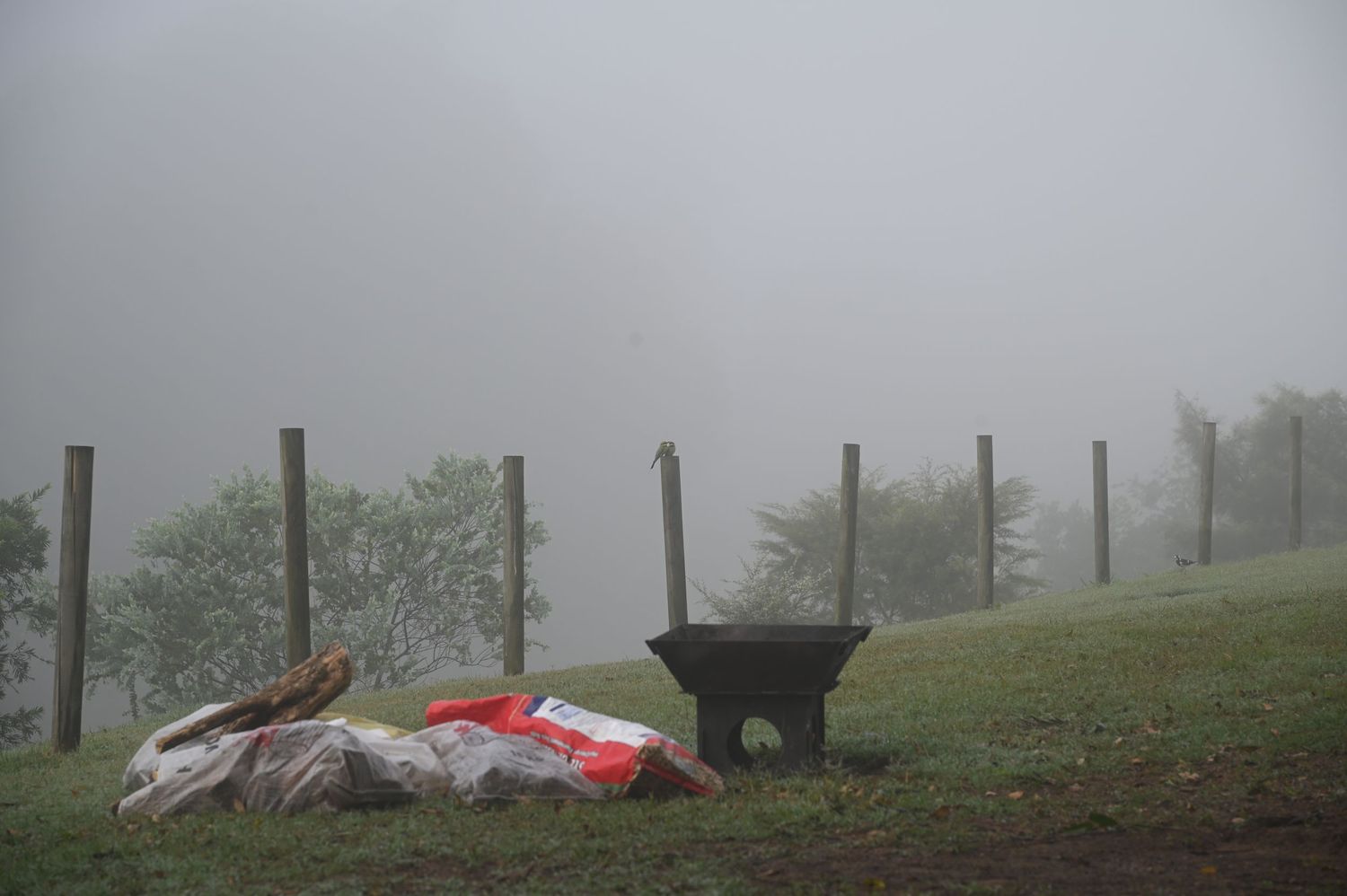 Foggy rural landscape with a wheelbarrow and bundled tarps on green grass near wooden fence posts.