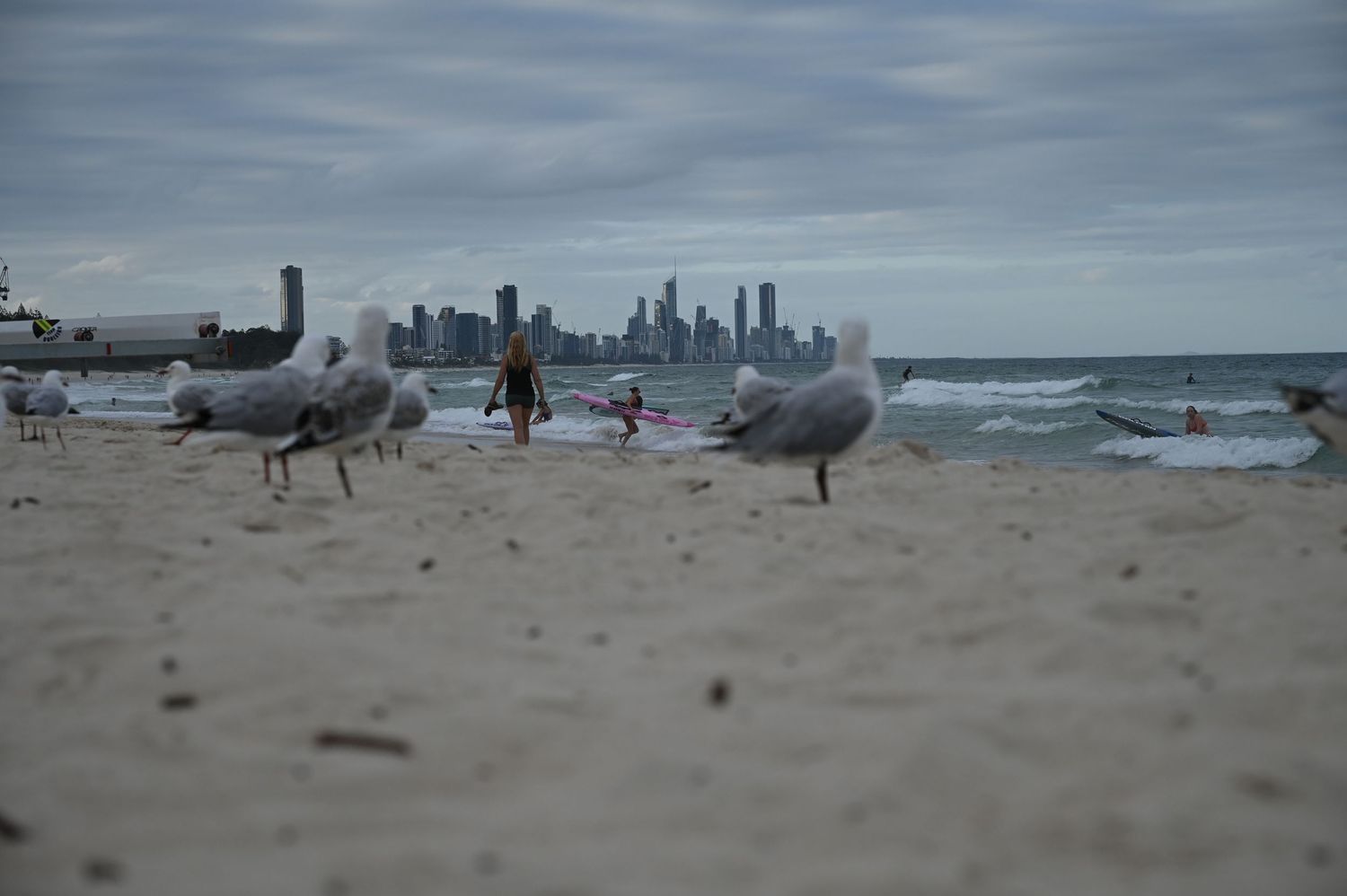 Seagulls on a sandy beach with city skyline and ocean waves in the background under a cloudy sky.