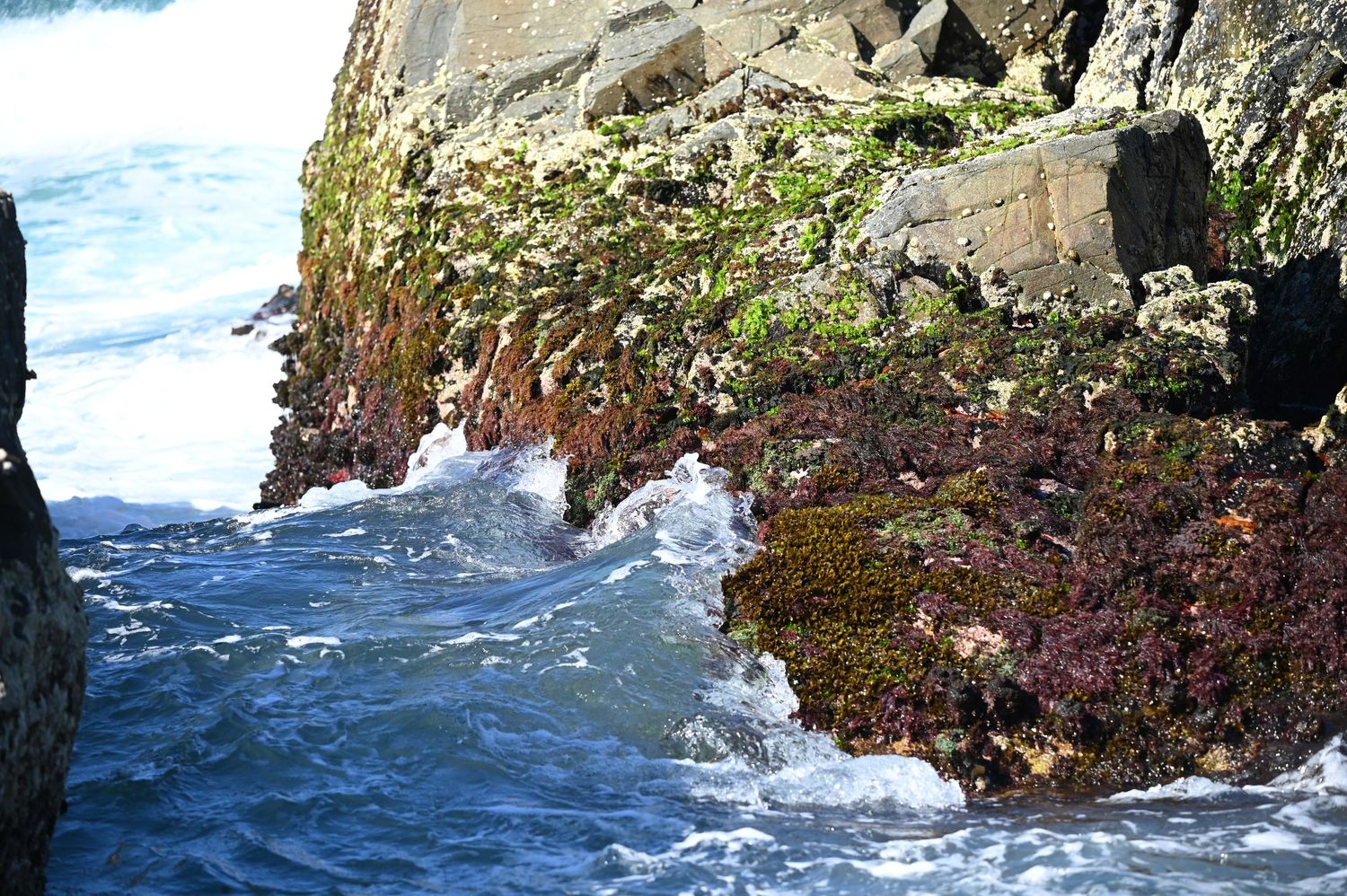 Ocean waves splashing against moss-covered rocky cliffs with blue water in the background.