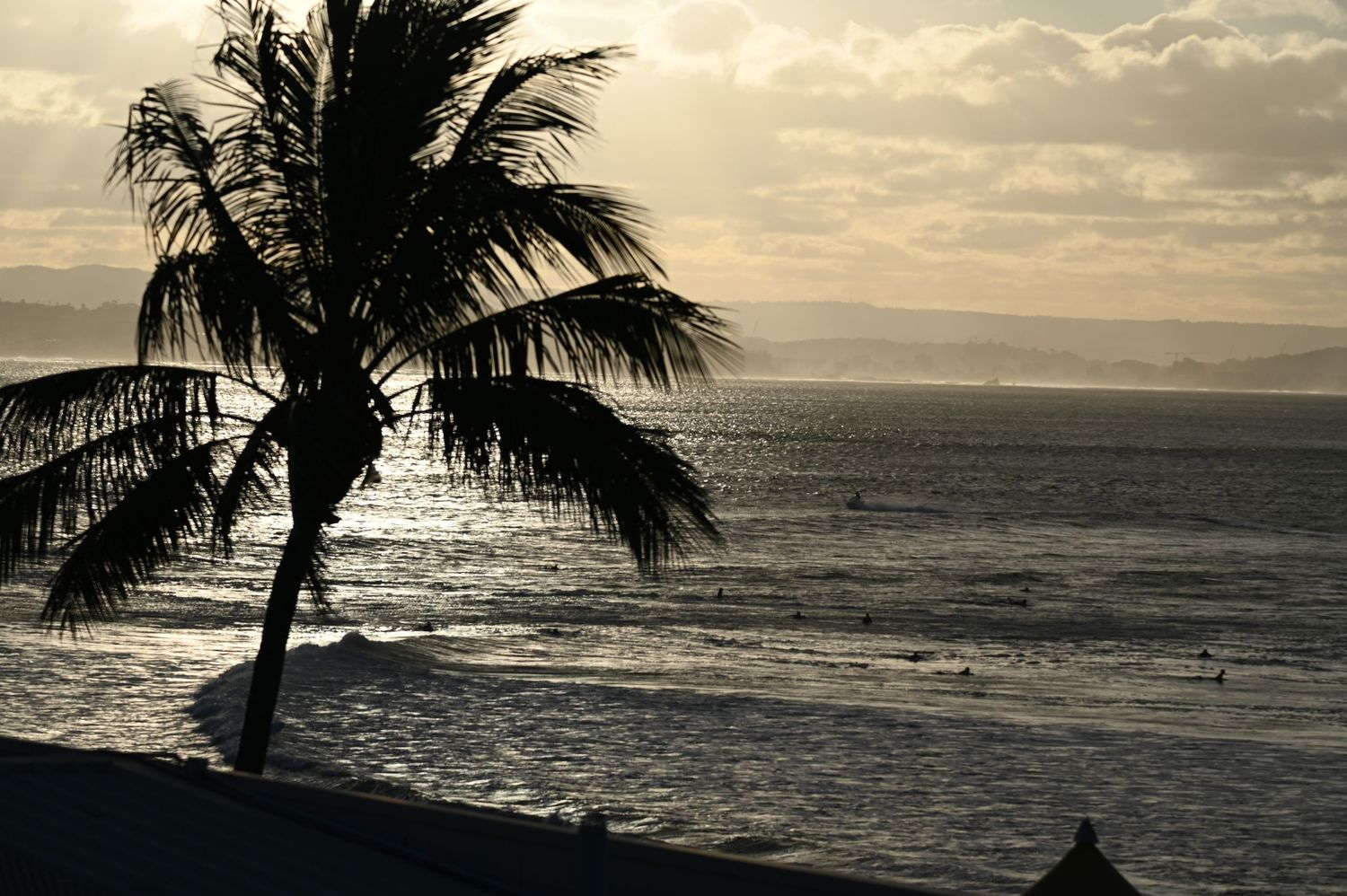 Silhouette of palm tree against golden sunset over calm ocean beach horizon.