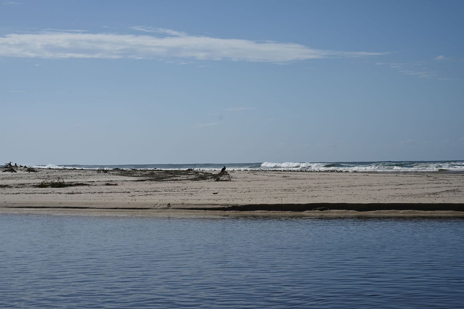 Serene sandy beach with ocean waves, driftwood, and calm tidal waters under a clear blue sky.