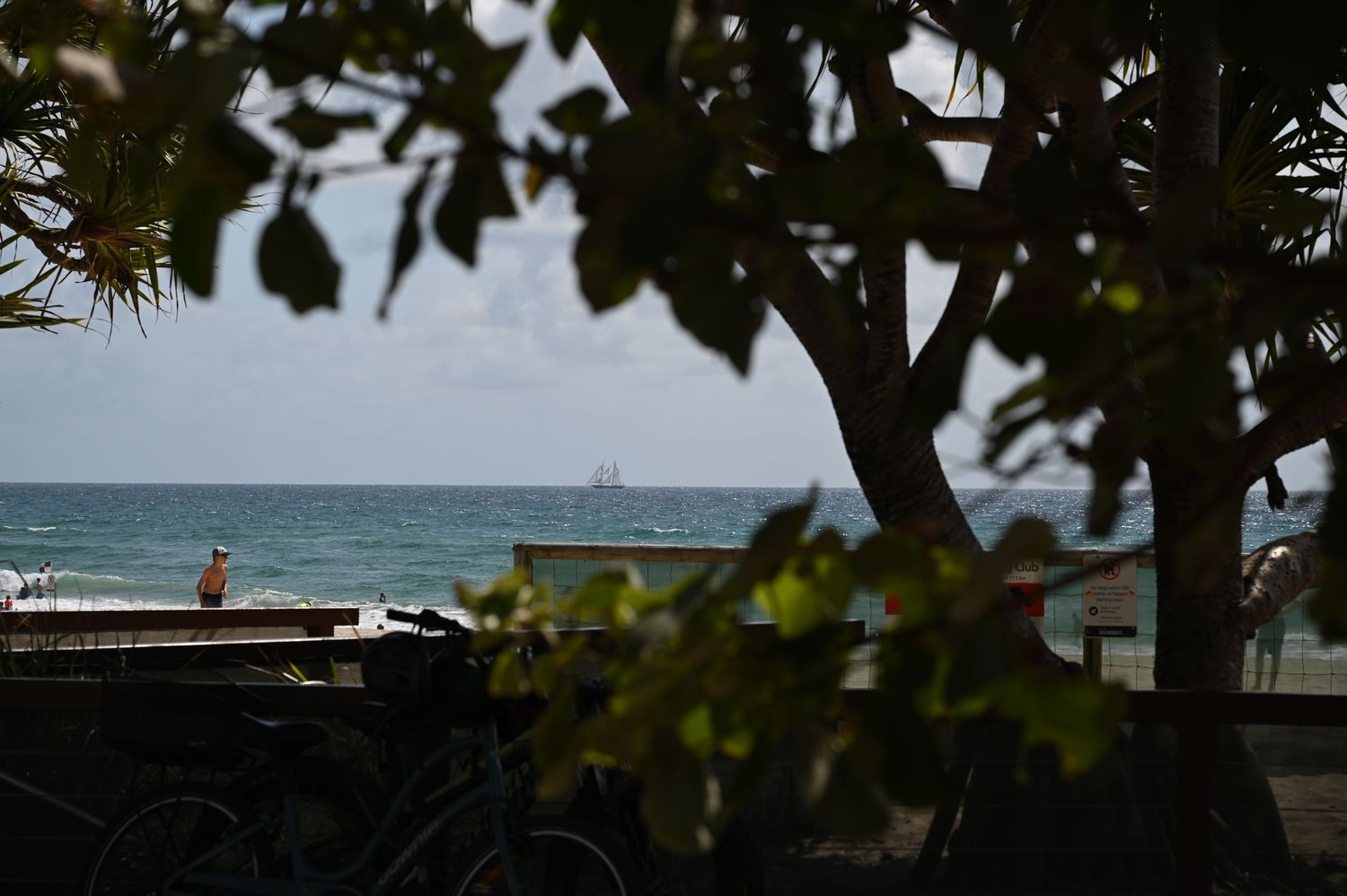 Bicycles parked near a tropical beach with ocean views, trees framing a distant ship on the horizon.