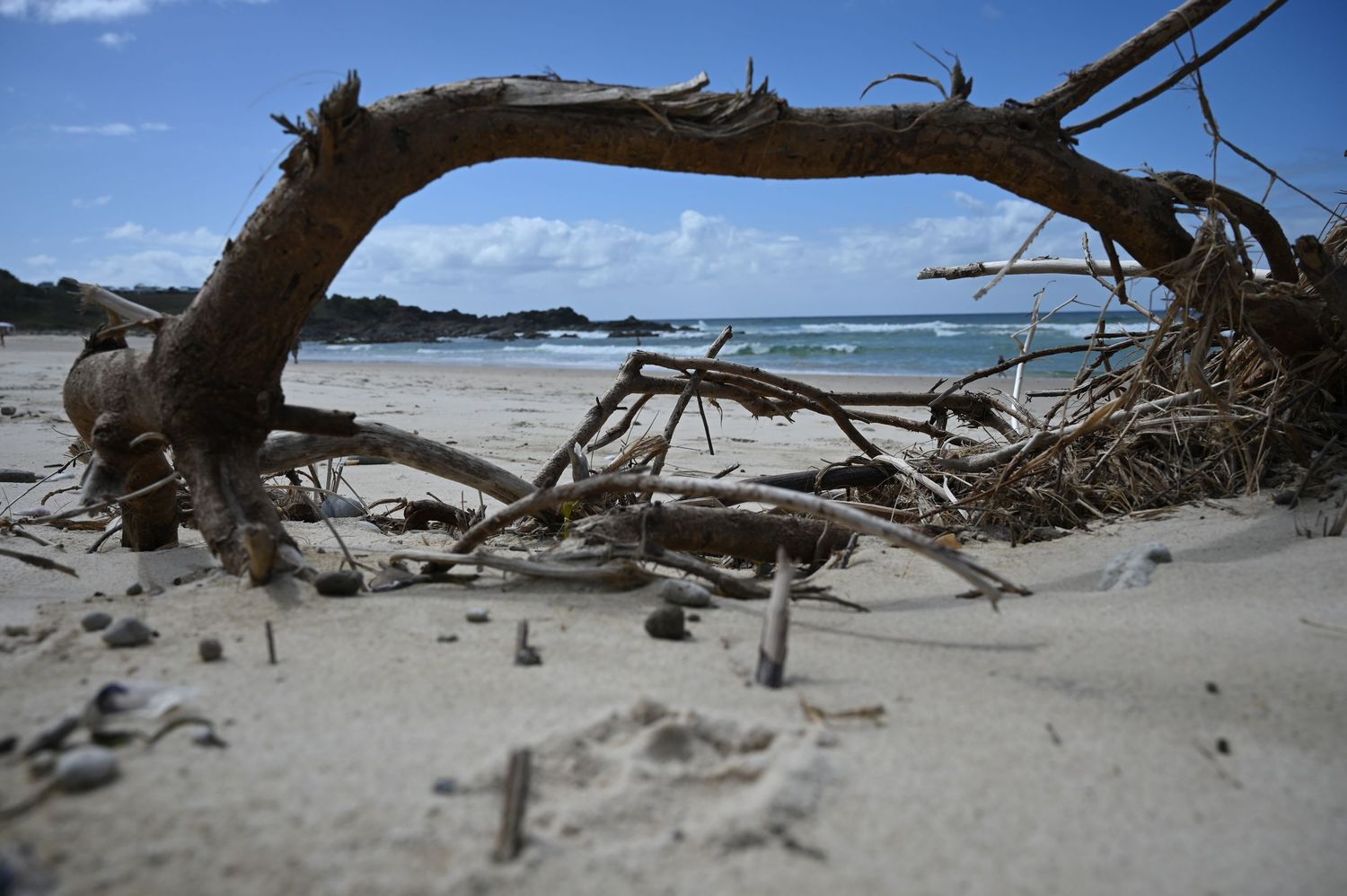 Driftwood and tangled branches on a sandy beach with ocean waves and blue sky in the background.