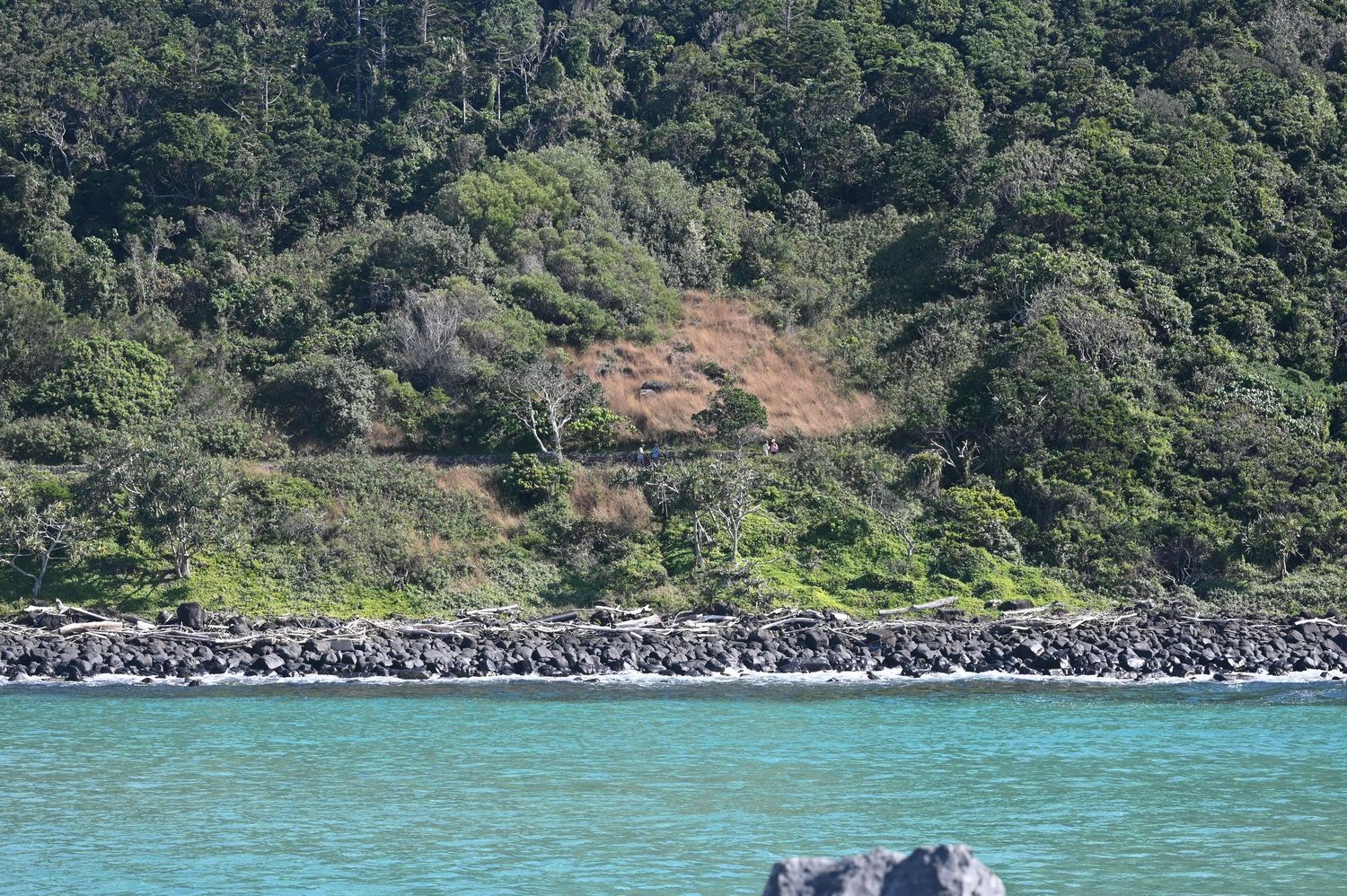 Rocky shoreline with turquoise water beside a lush green forested hillside with a visible landslide scar.