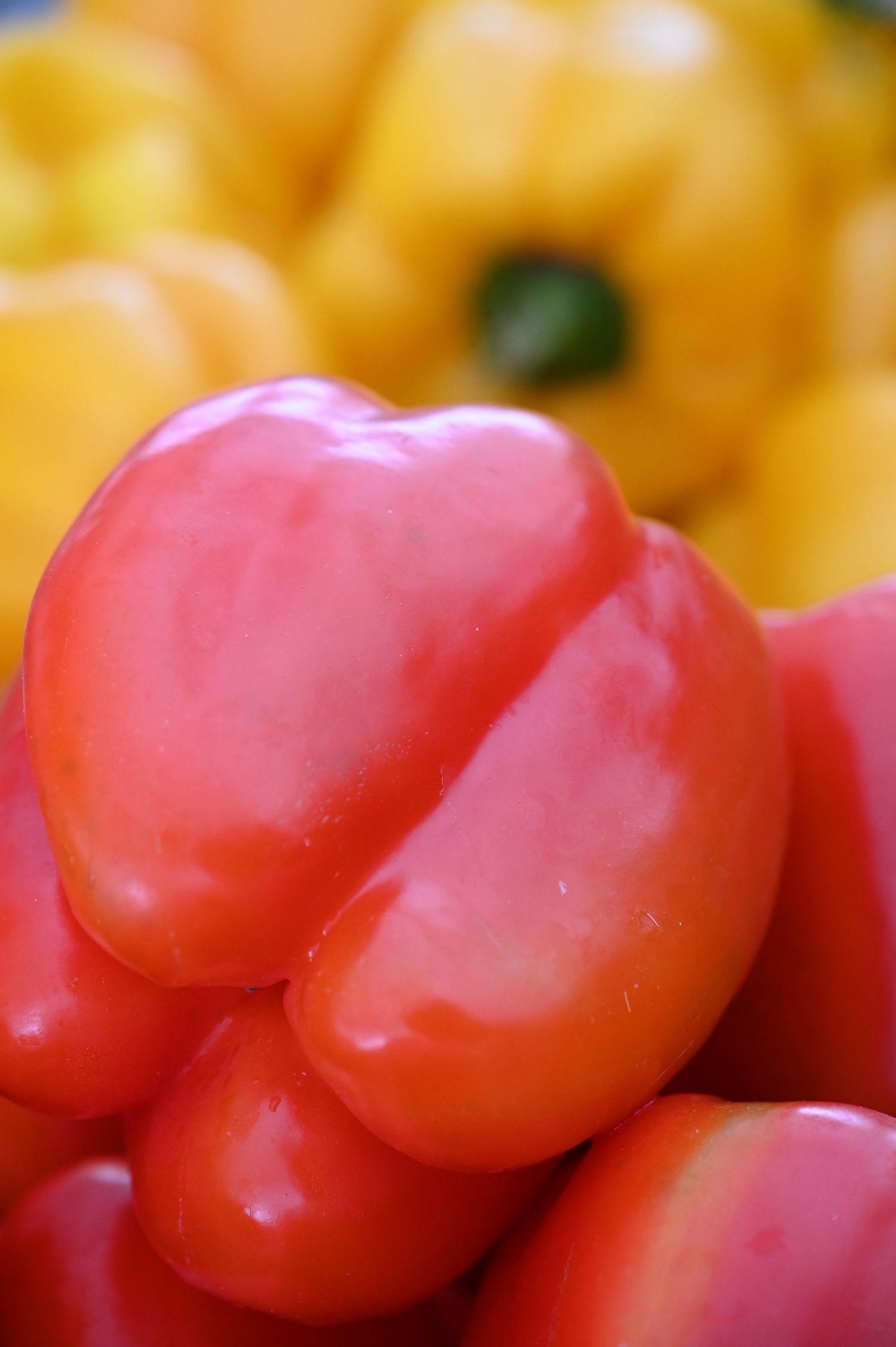 Close-up of fresh red and yellow bell peppers stacked at a market display.