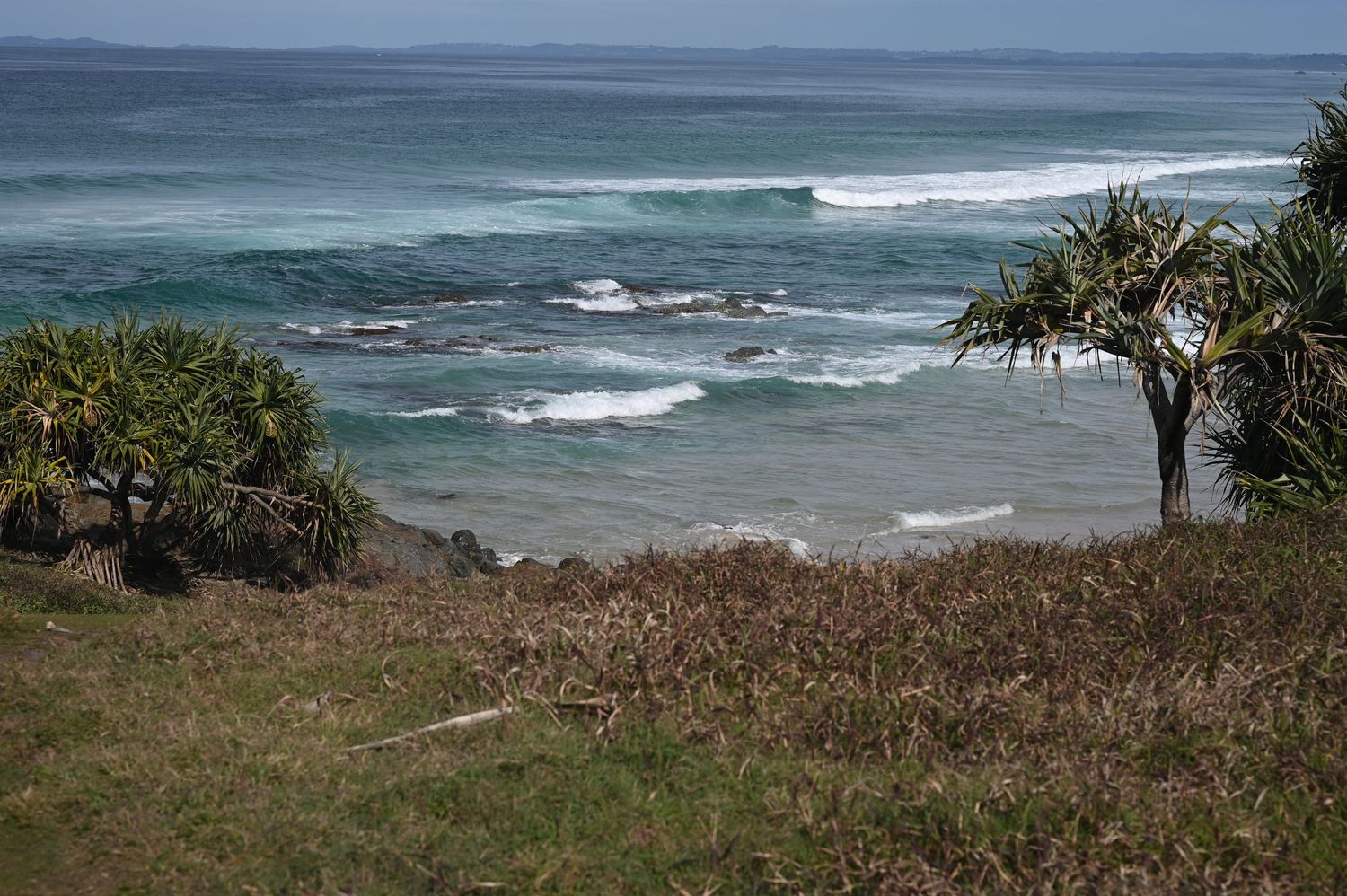 Tropical coastal view with pandanus palms overlooking turquoise waves and rocky shoreline.