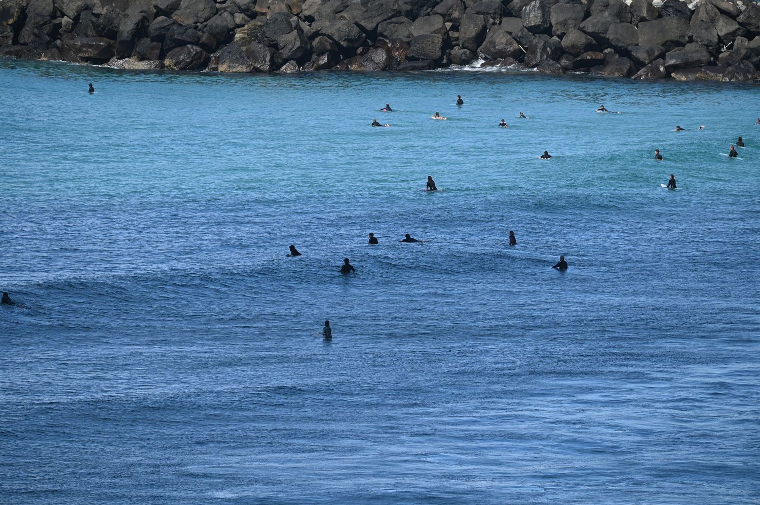 Group of surfers waiting for waves in blue ocean water near rocky shoreline.