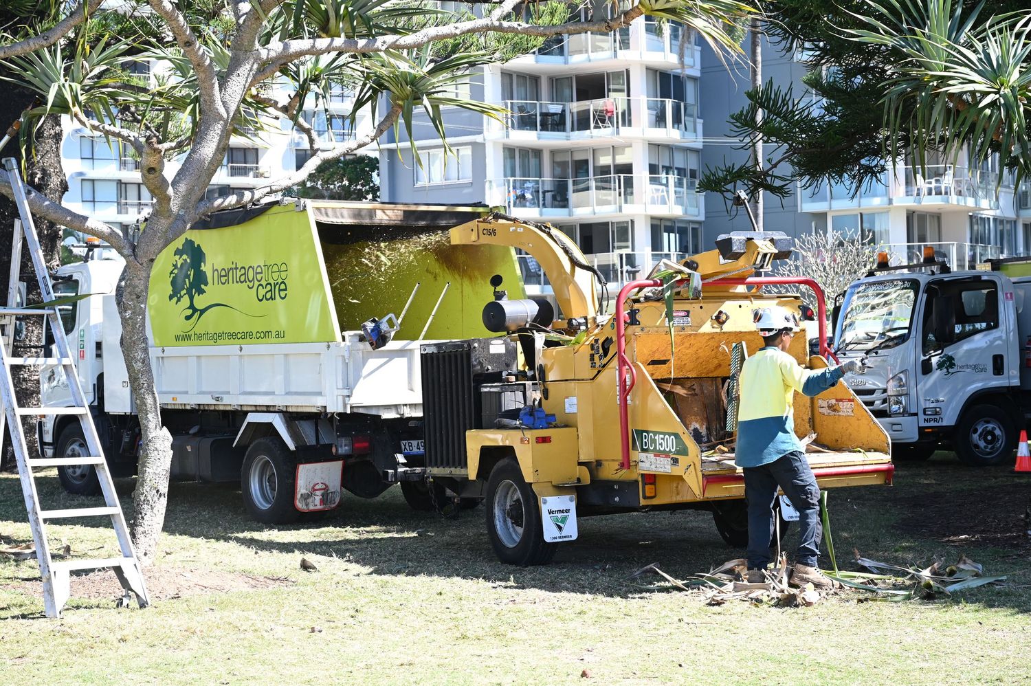 Tree removal crew operating a wood chipper and truck in a park near a modern apartment building on a sunny day.