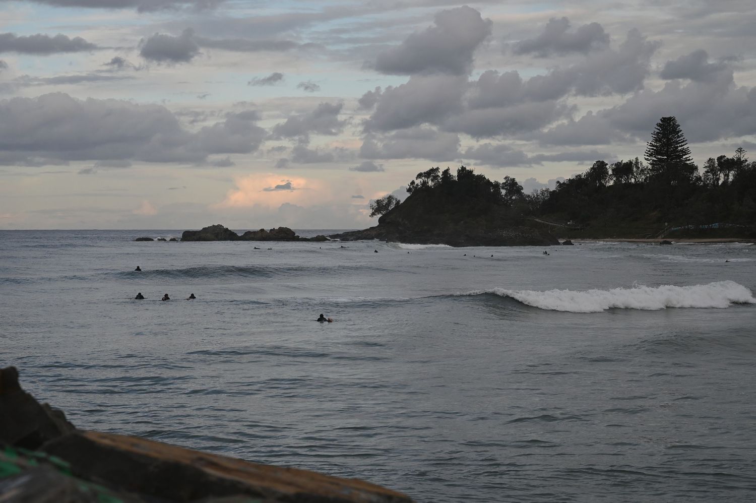 Surfers in calm ocean waters at dusk near a tree-lined headland with cloudy sky.
