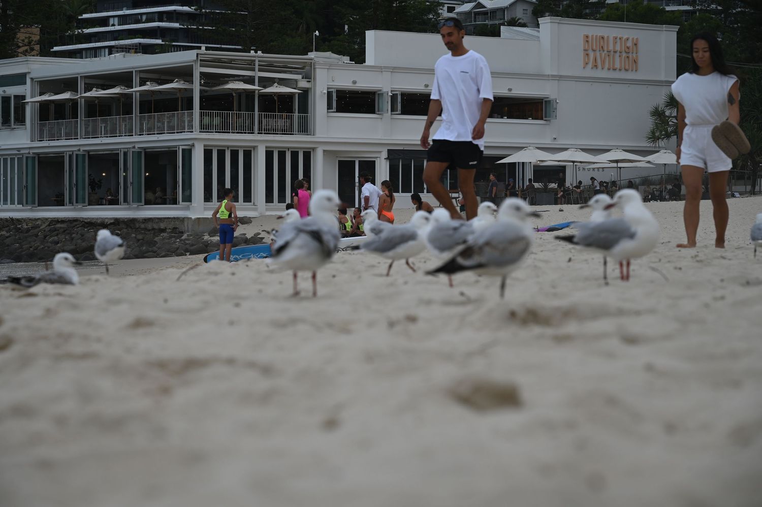 Seagulls gather on a sandy beach as two people walk near a white beachside pavilion building in the background.