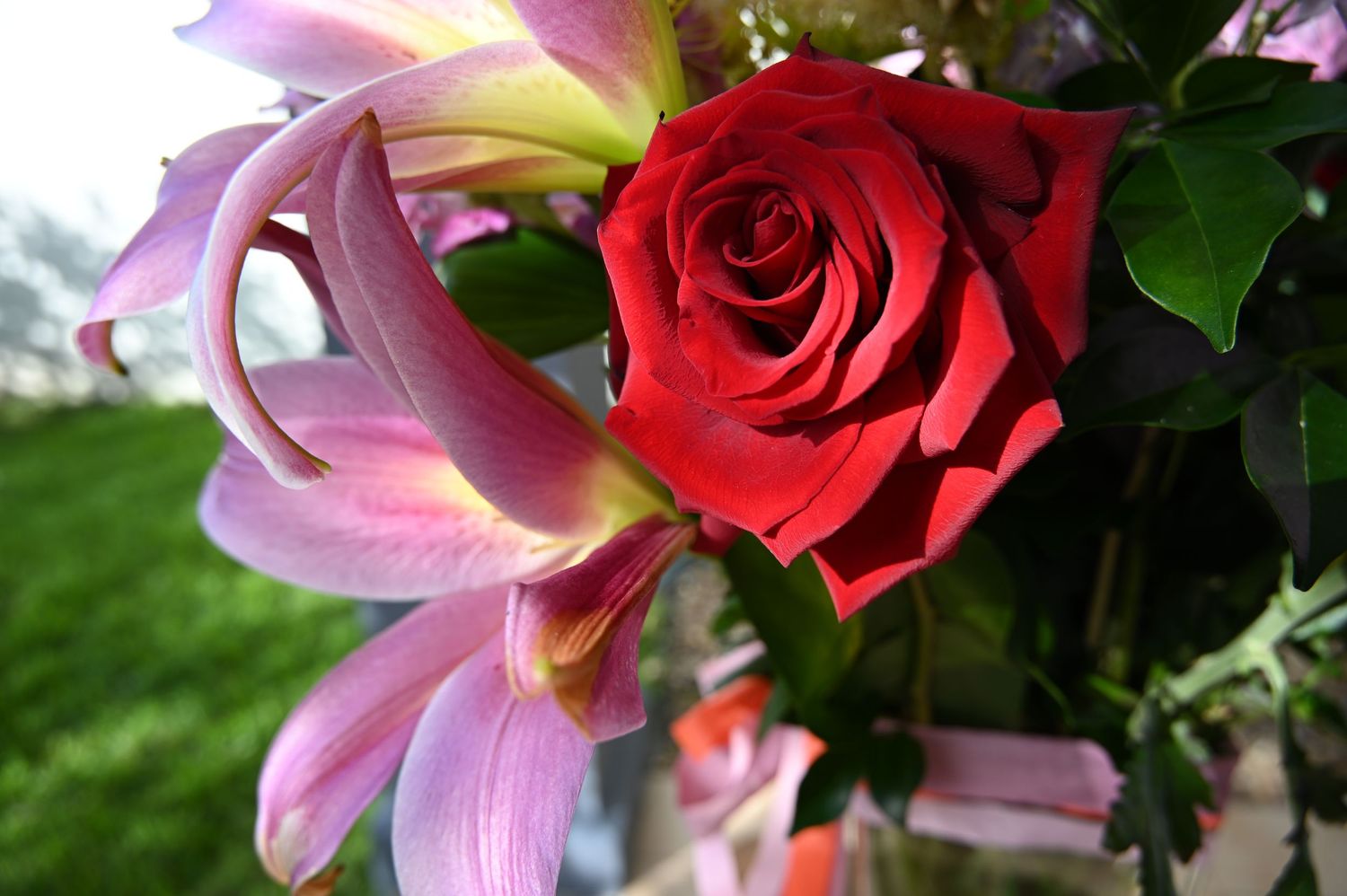 A vibrant red rose and pink lily bouquet arrangement with lush green foliage in the background.