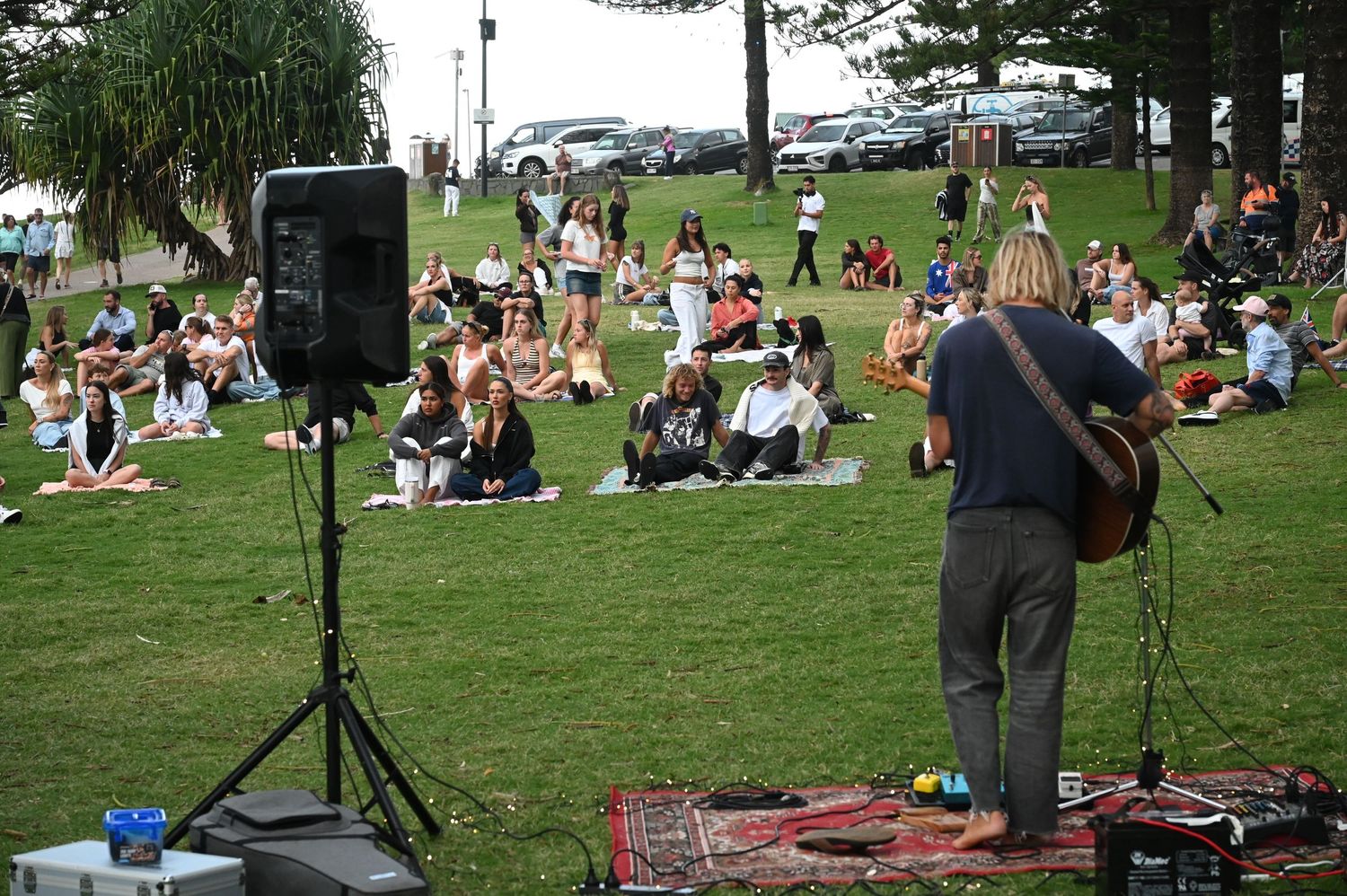 Outdoor concert on green lawn with guitarist performing for seated crowd near ocean park on sunny day.