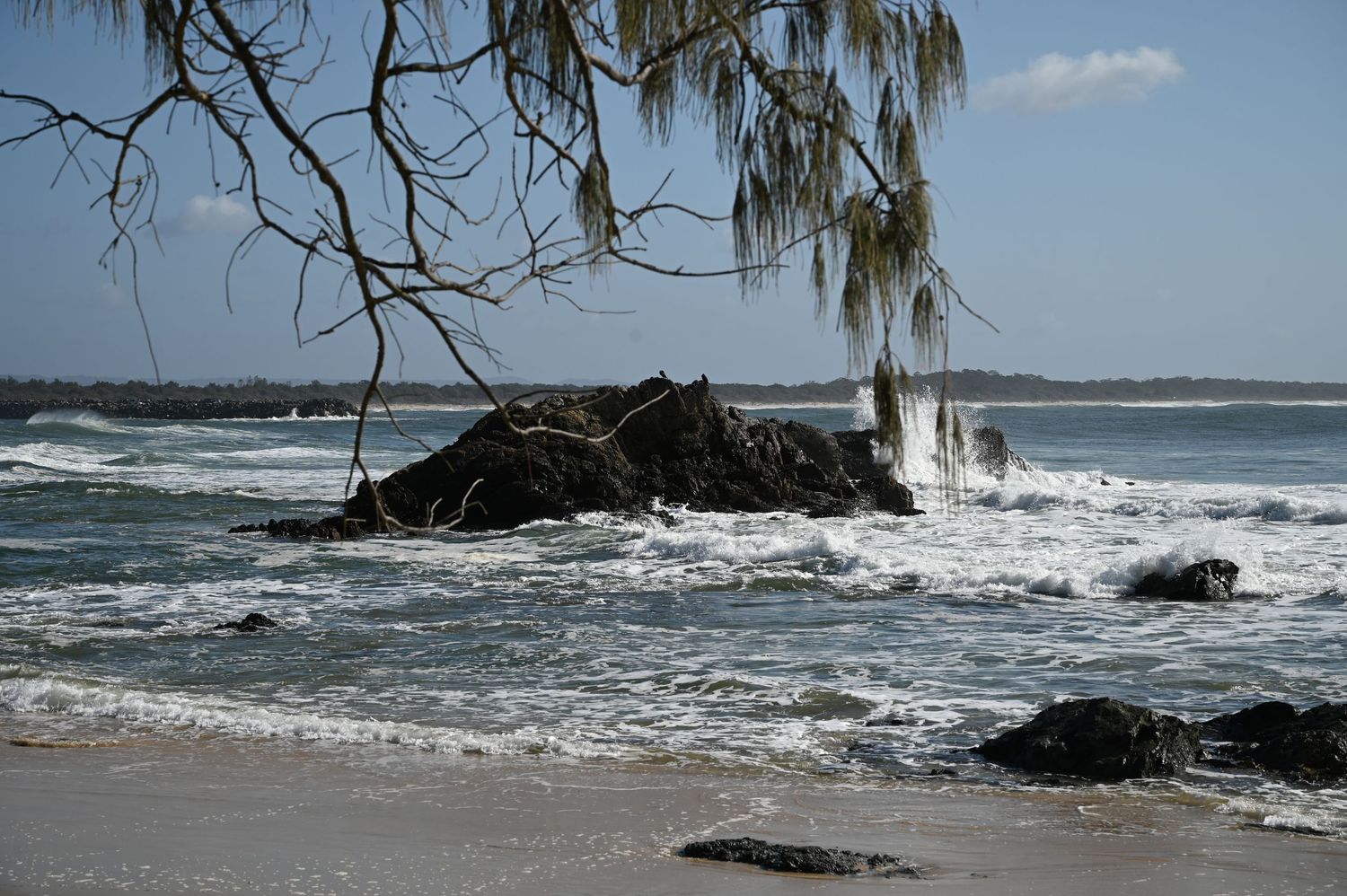 Rocky shoreline with crashing waves and overhanging tree branches on a sunny beach day.