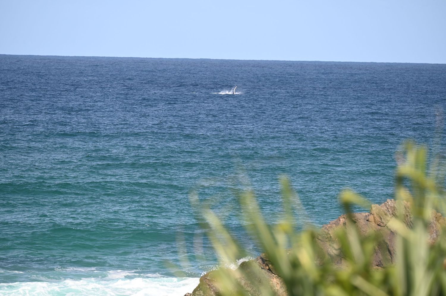 Scenic ocean view with turquoise waves, distant boat on horizon, and coastal vegetation in foreground on a clear day.