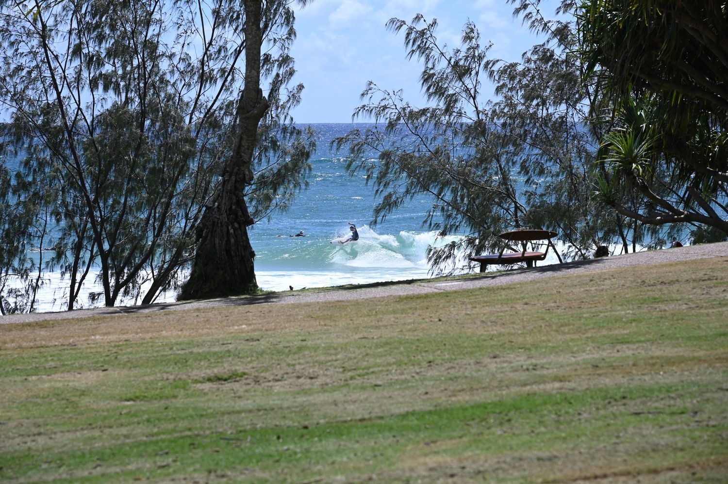 Surfer riding waves at a tropical beach park with lush green trees and a picnic area on a sunny day.