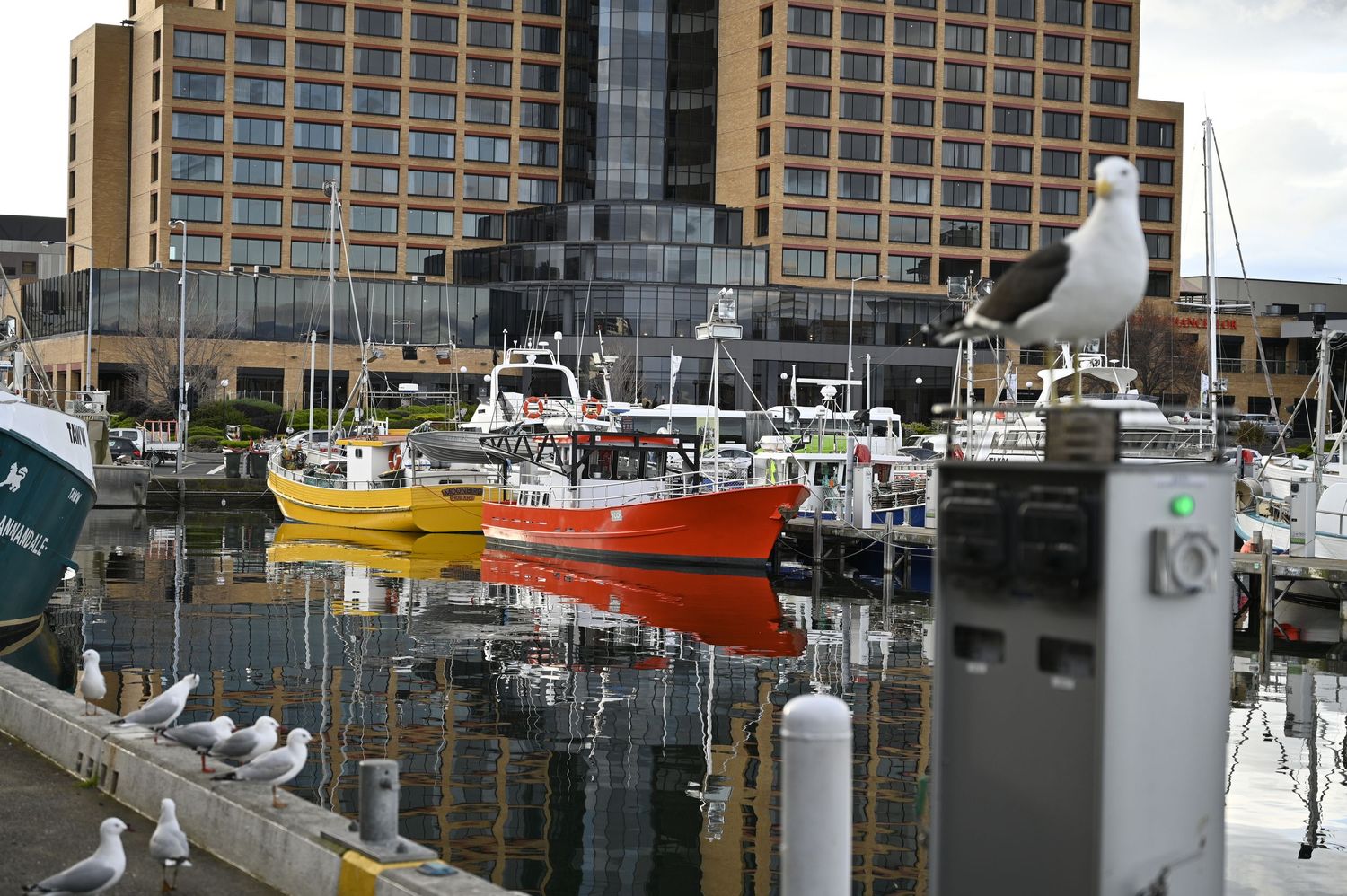 Brightly coloured trawlers reflected in still harbour waters as seagulls overlook the scene waiting for scraps or hunting fishy lunch.