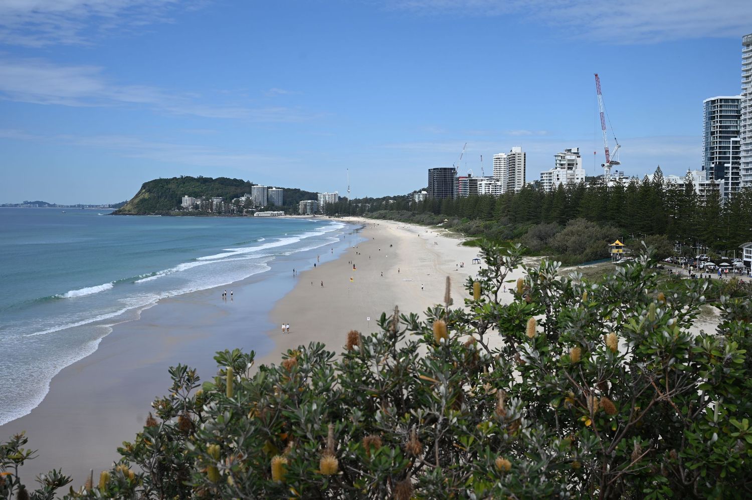 Panoramic view of a sandy Gold Coast beach with turquoise water, lush banksia shrubs, and city skyline under blue skies.