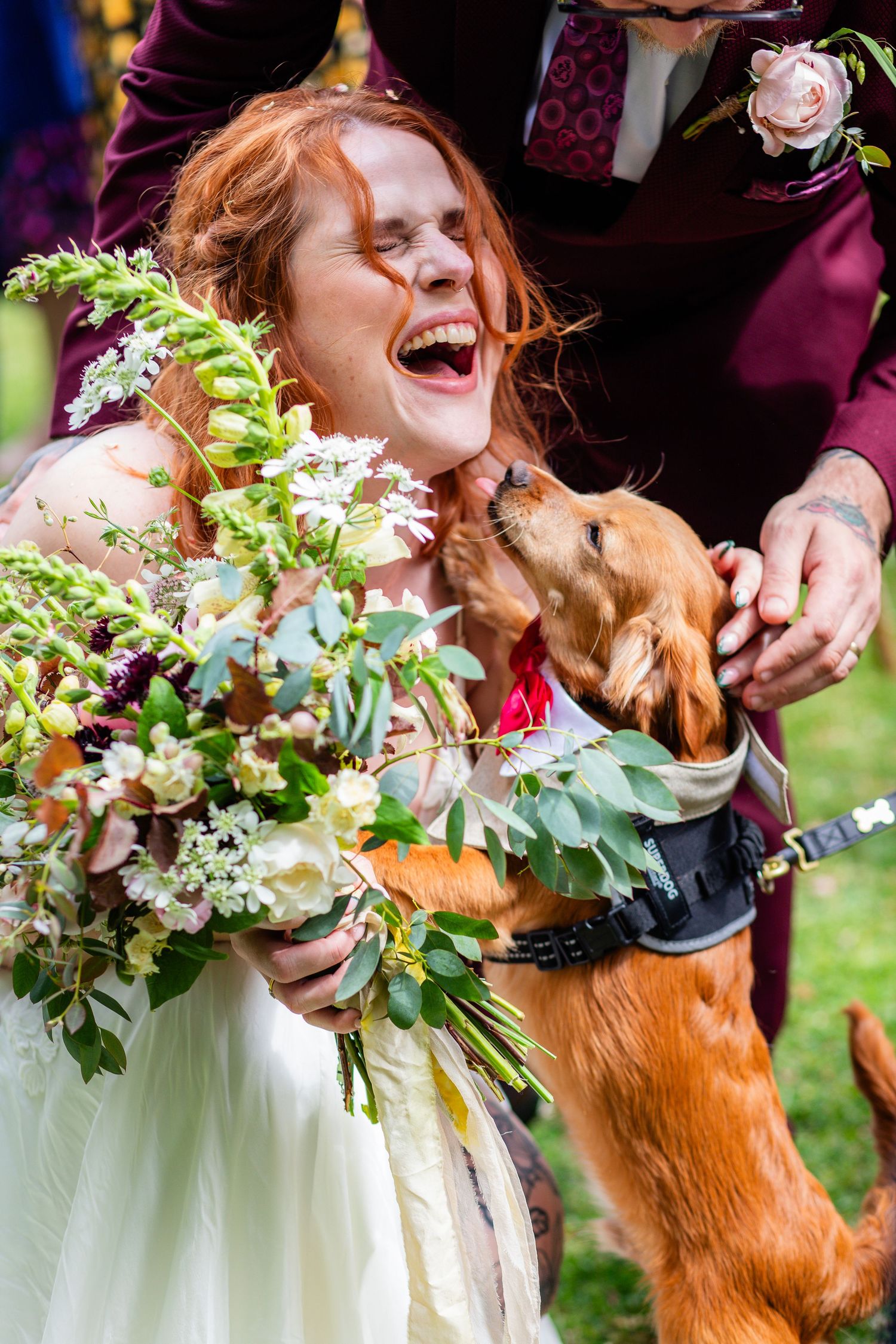 A joyful moment at a wedding as a bride with a vibrant bouquet laughs while being kissed by her enthusiastic brown dog.