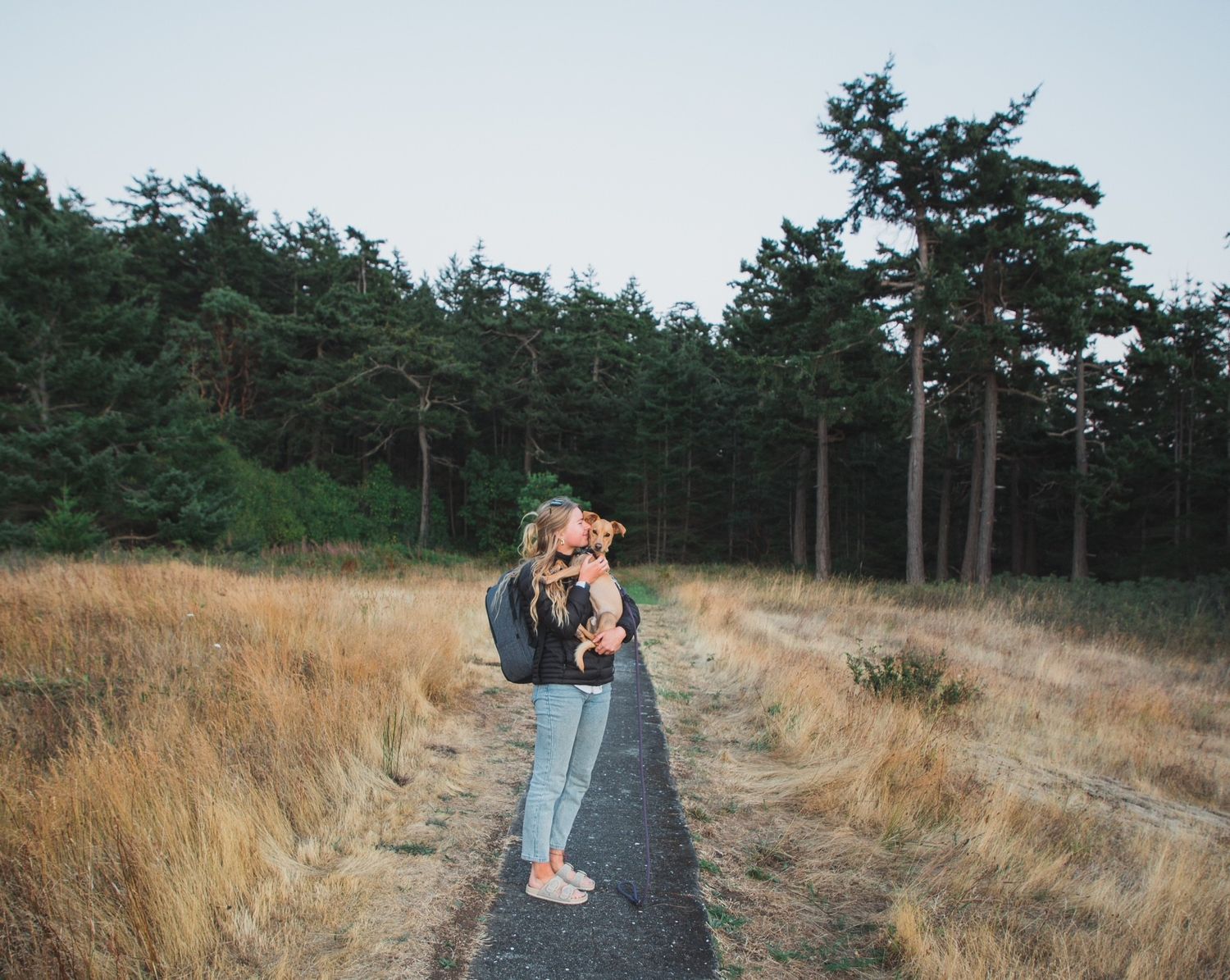 Female photographer standing on a narrow road surrounded by golden grass fields and tall pine trees.