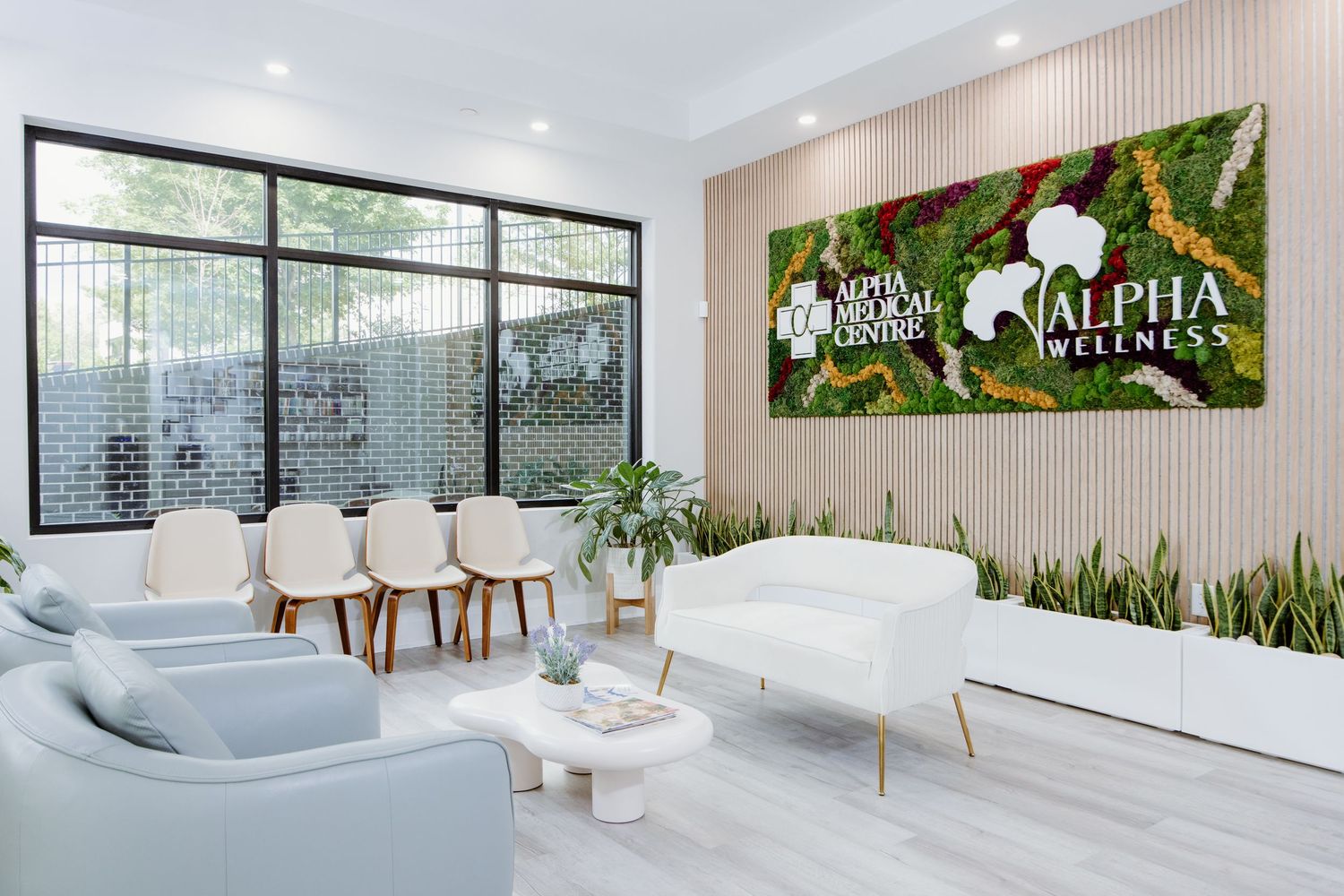 A modern dental office panorama showing sleek white interiors, waiting areas, and treatment rooms with advanced equipment.