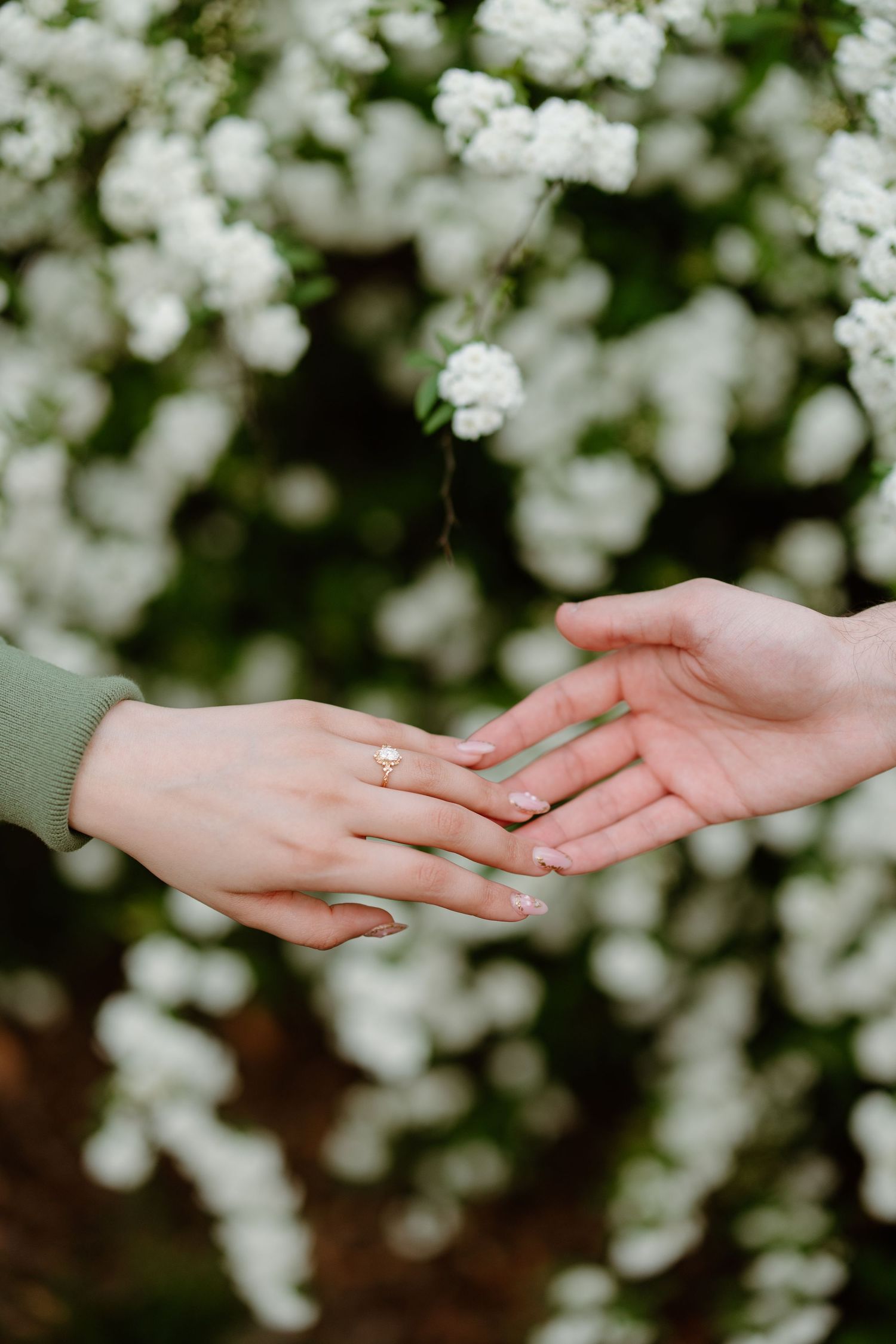 Two hands reaching towards each other against a backdrop of soft white spring blossoms.