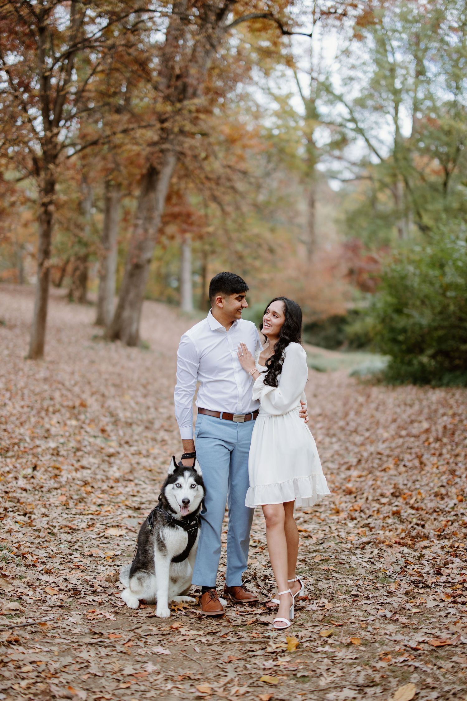 A couple enjoys an autumn photoshoot in a park with their husky dog amid fallen brown leaves.