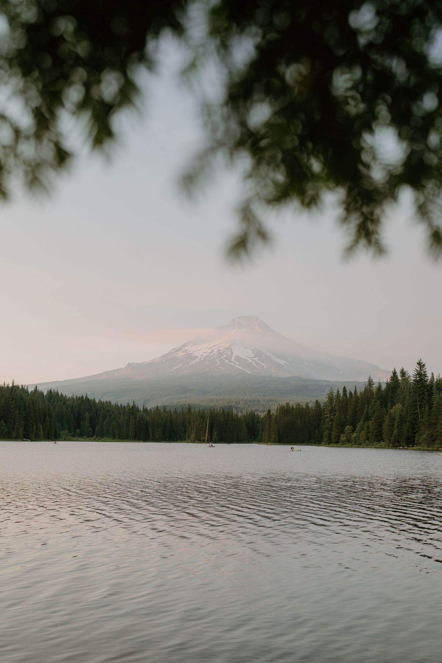 Panoramic sequence showing Mount Hood reflected in a serene lake with evergreen forest shoreline at dusk.