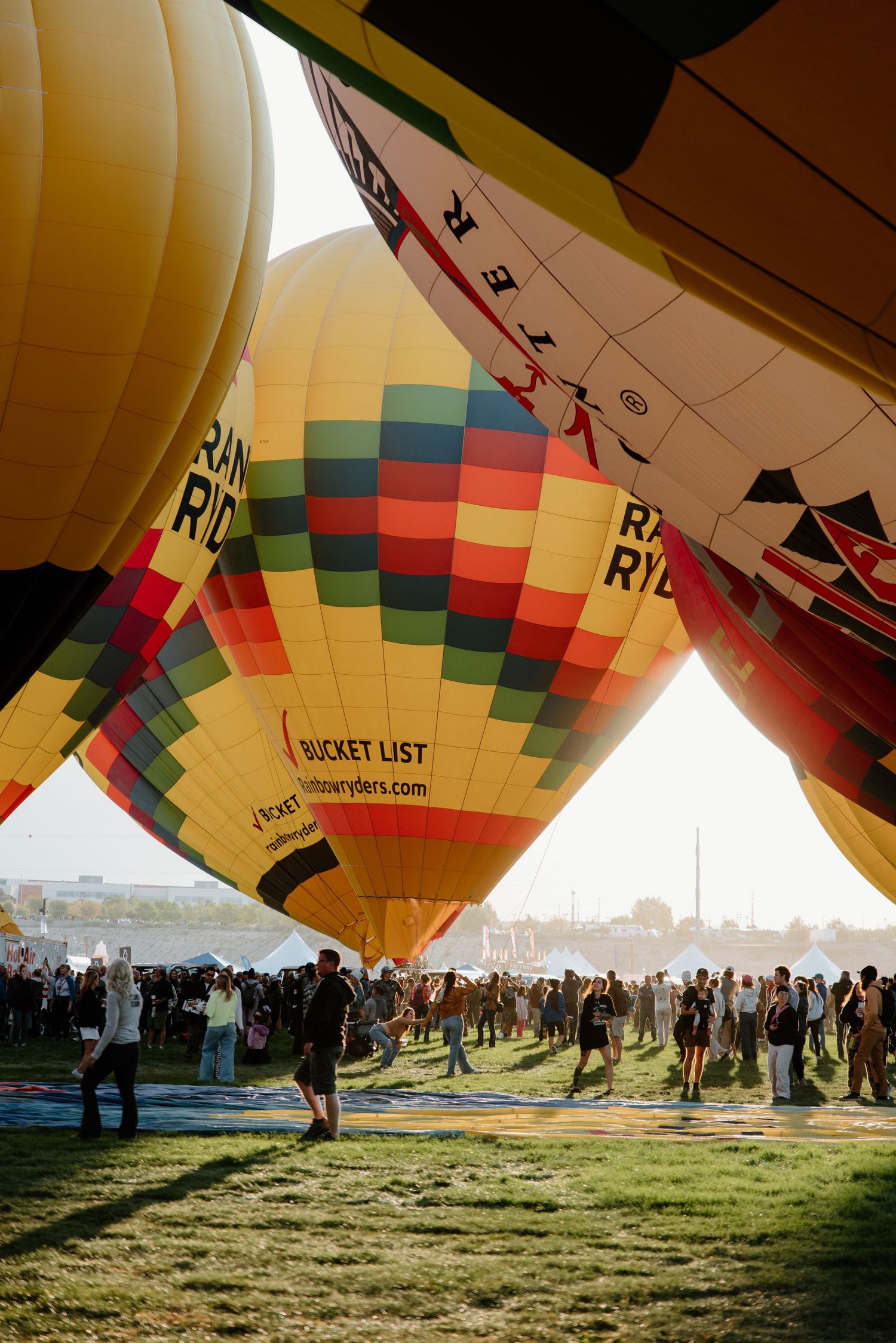 Colorful hot air balloons lined up on grassy field at dawn with crowds gathering underneath at balloon festival.
