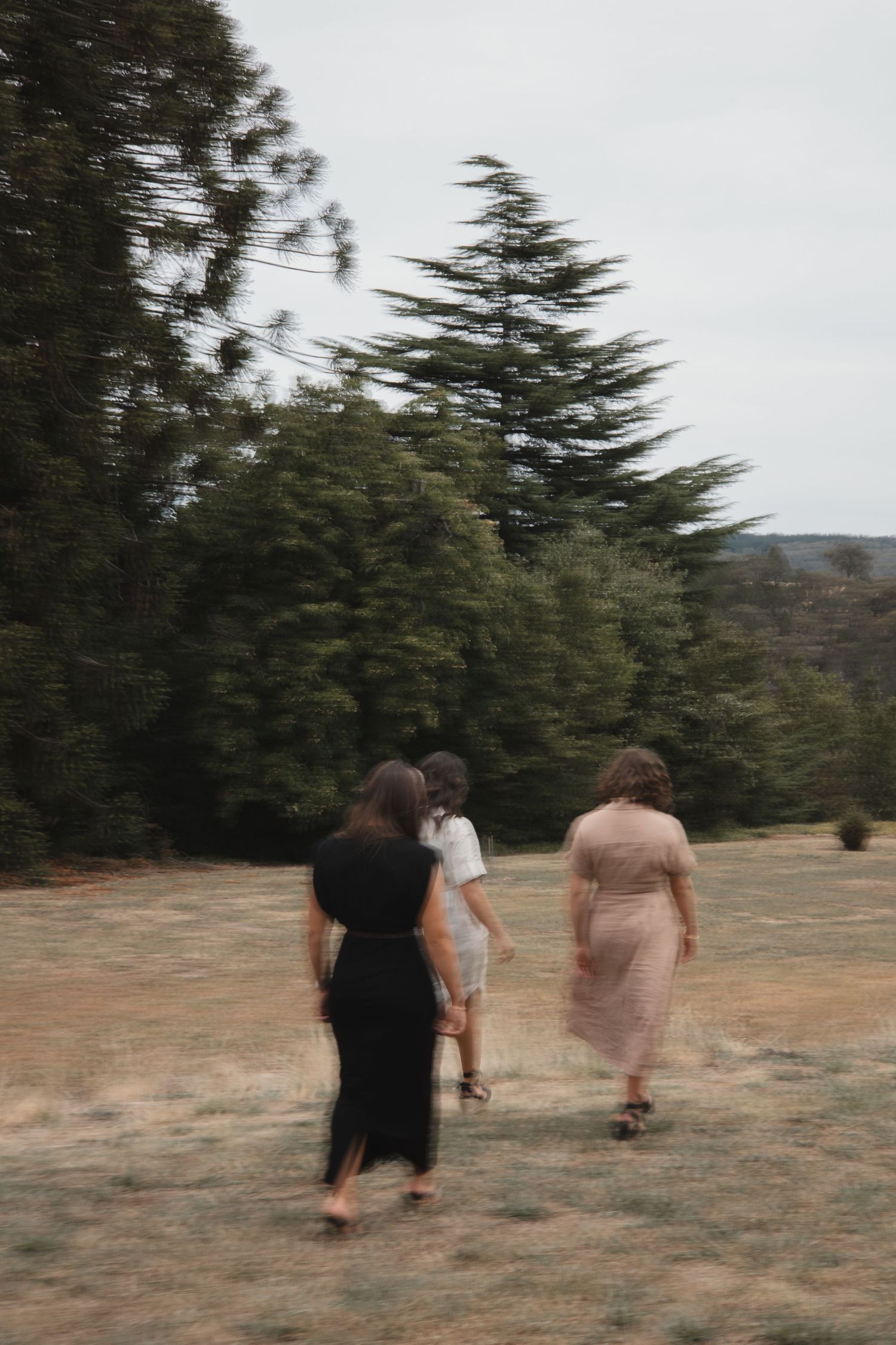 Three people walking together on a dirt path surrounded by tall evergreen trees on an overcast day.