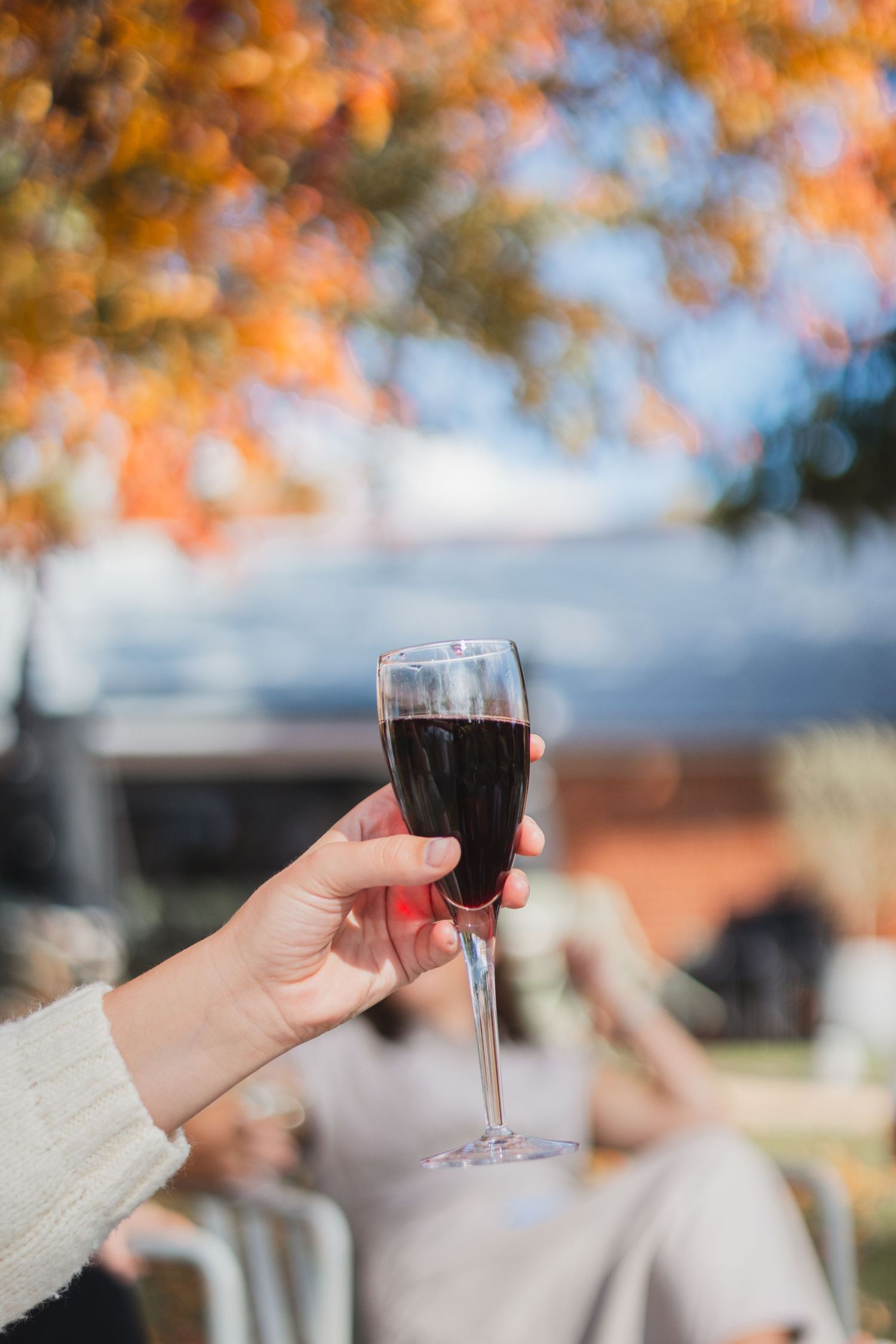 Hand holding a glass of red wine against an autumn backdrop with blurred orange leaves and blue sky.