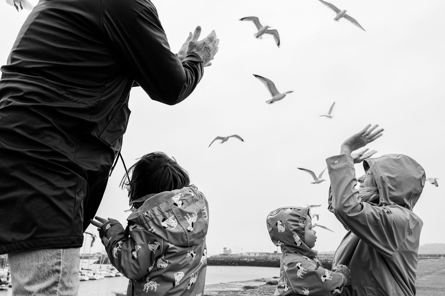 Black and white photo of seagulls flying over people by the water. PHOTOGRAPHER Dublin