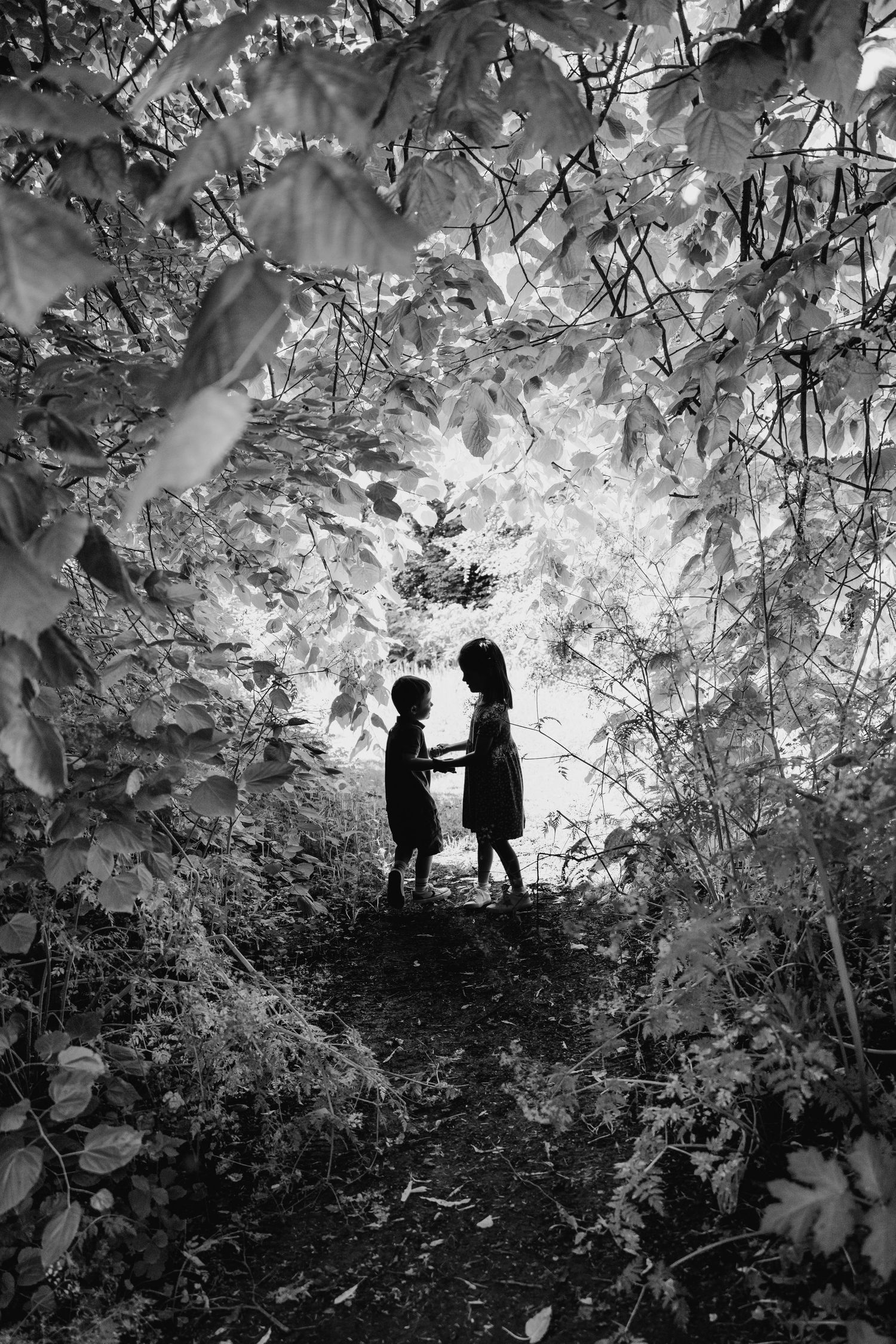 Silhouetted figures stand together beneath an ethereal canopy of leaves in a black and white nature scene. family PHOTOGRAPHER Dublin