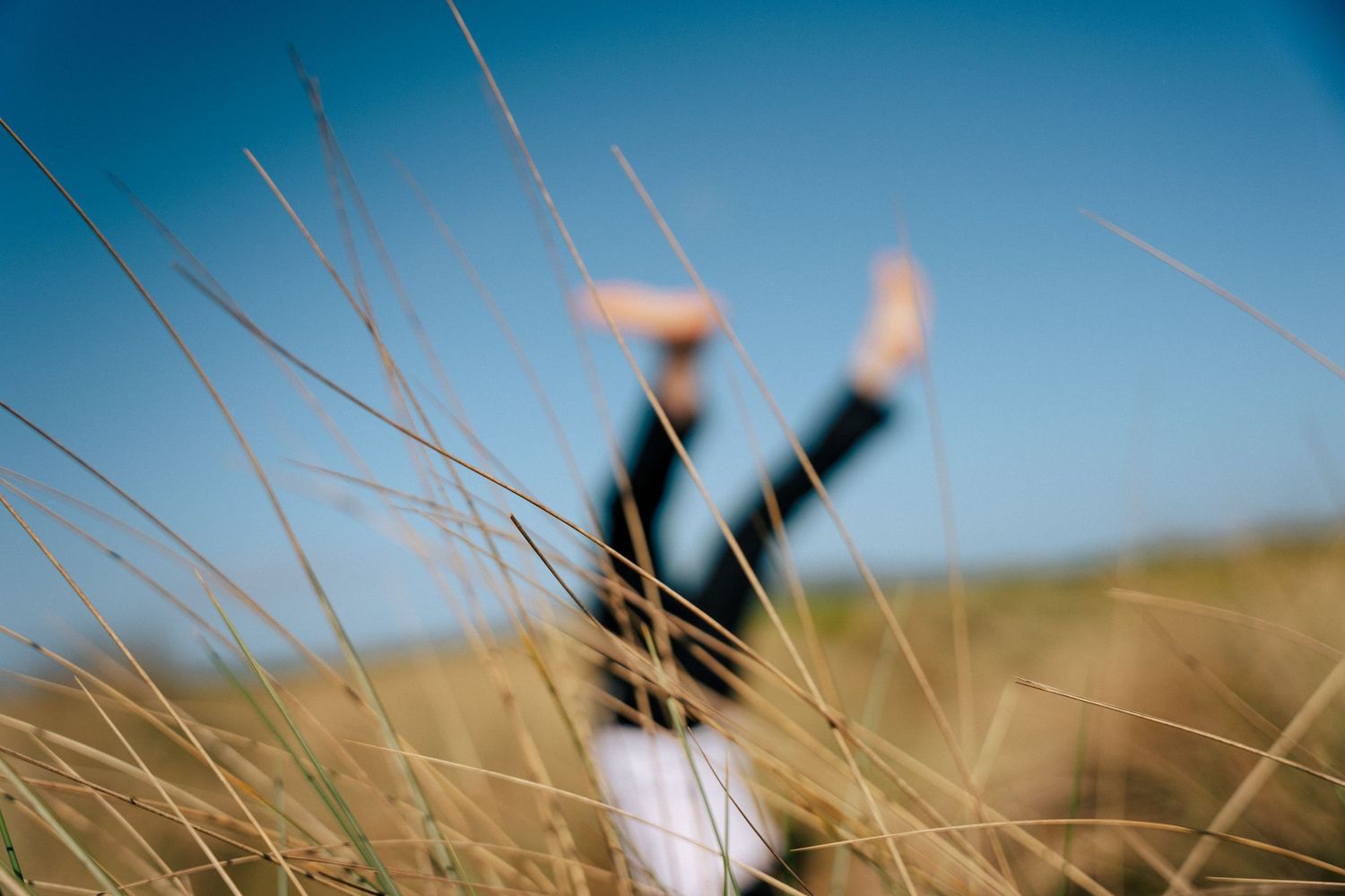 Artistic angle of guitar player among tall grass stems against bright blue sky.PHOTOGRAPHER Dublin