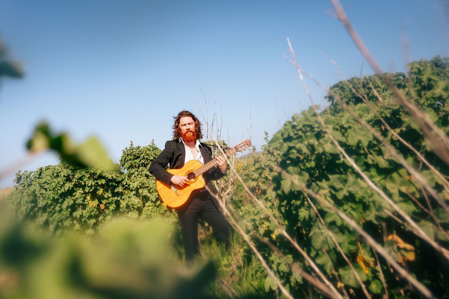 Musician with acoustic guitar photographed through vegetation on a sunny day. PHOTOGRAPHER Dublin PHOTOGRAPHER Dublin