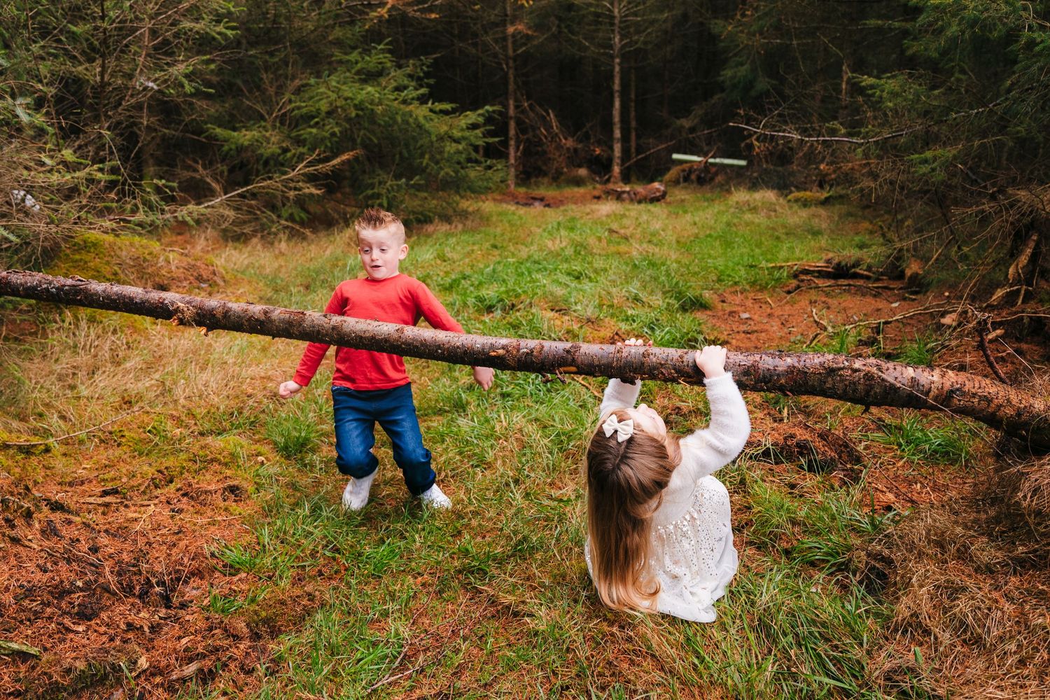 Family Photographer Dublin Ireland Two people balance on a fallen tree trunk in a forest setting during autumn.