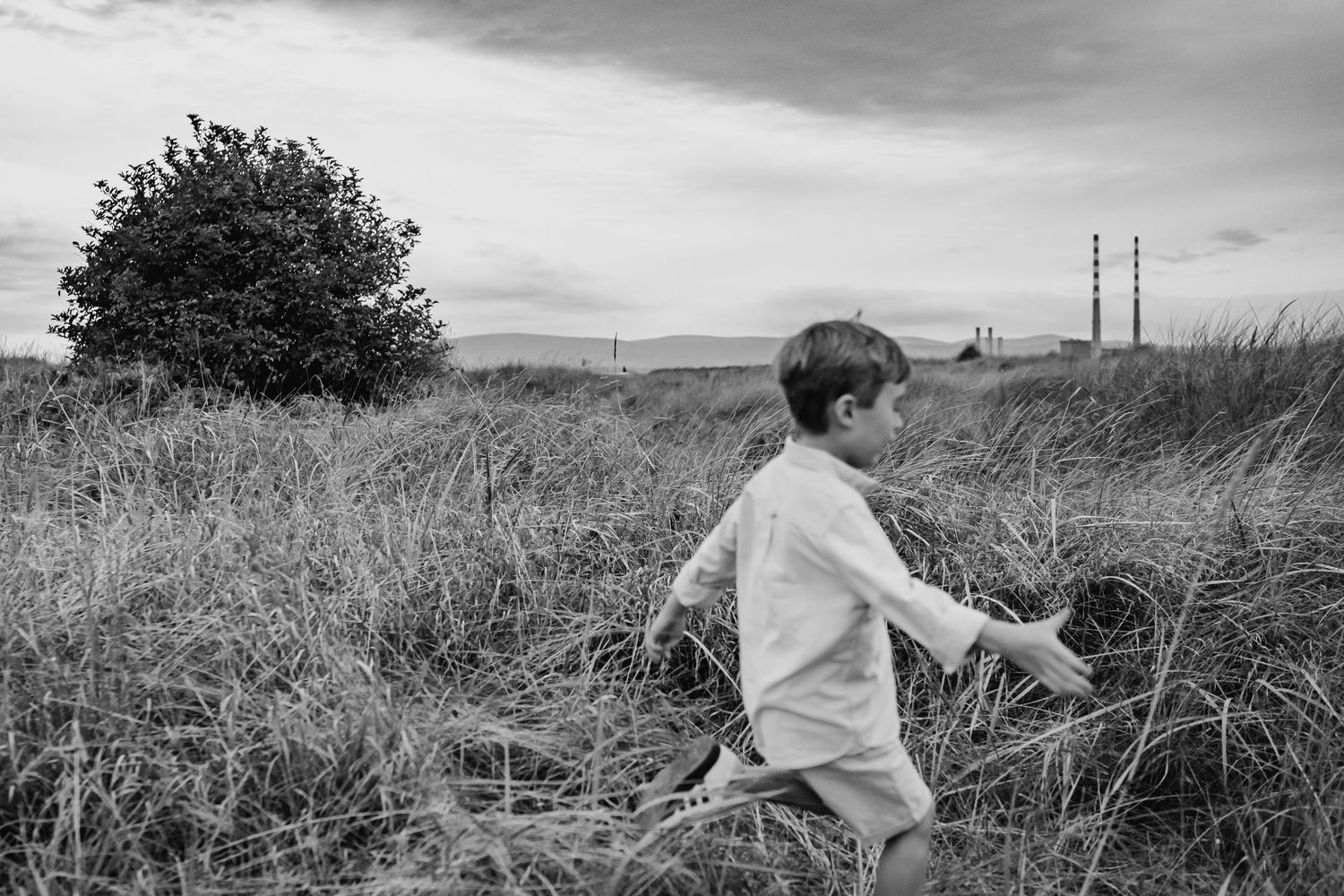 A black and white panoramic series of romantic beach scenes featuring natural grasses and coastal landscape.  Family photographer Dublin Ire