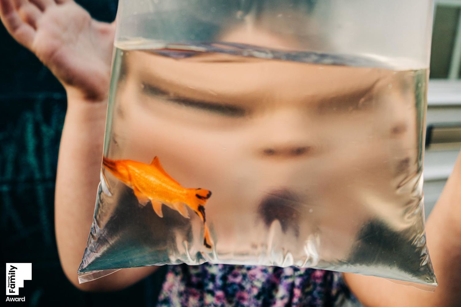 Creative portrait through distorted glass with orange accent colors. PHOTOGRAPHER Dublin