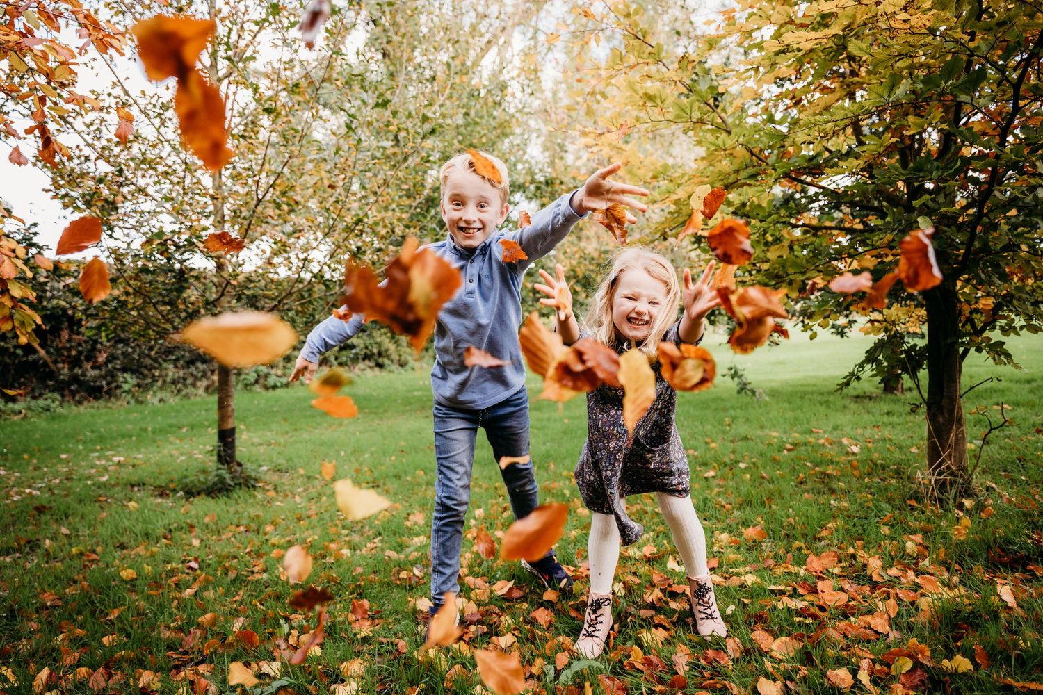 People play together in a park during autumn, throwing and catching colorful orange fall leaves in the air. family PHOTOGRAPHER Dublin