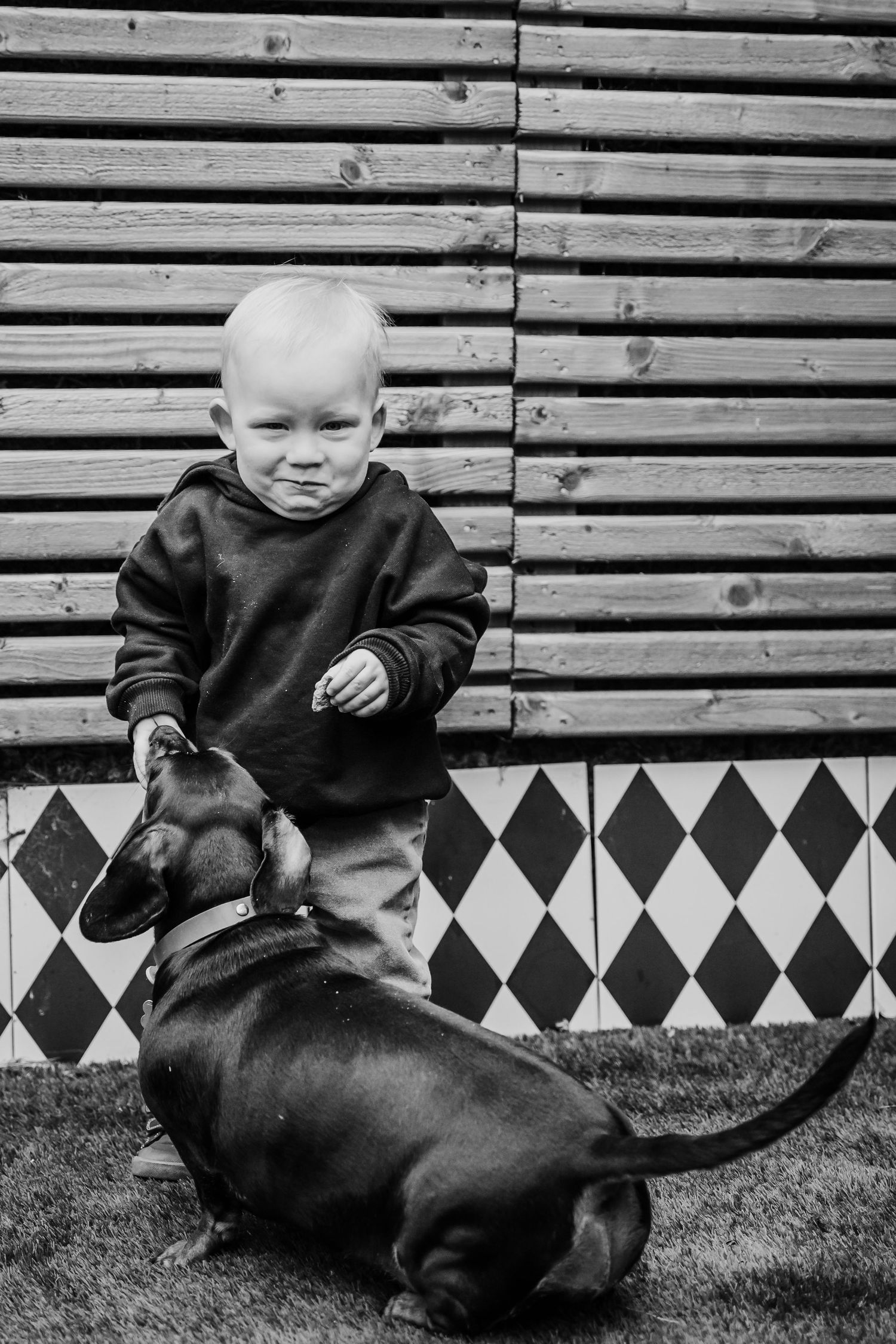 Young child interacting with a black dachshund dog against a wooden slatted wall with geometric pattern.  Family PHOTOGRAPHER Dublin