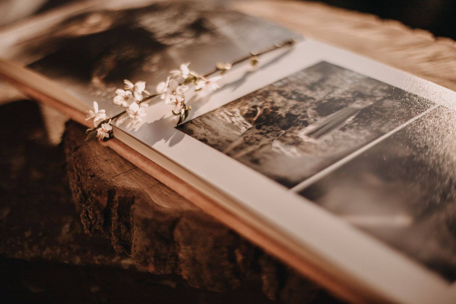 A collection of vintage sepia photographs arranged in a row with soft warm lighting and shallow depth of field.