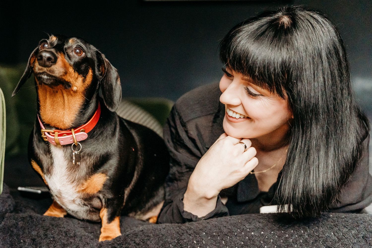 A close up series showing a dachshund dog interacting playfully with someone on a dark background.  Family PHOTOGRAPHER Dublin