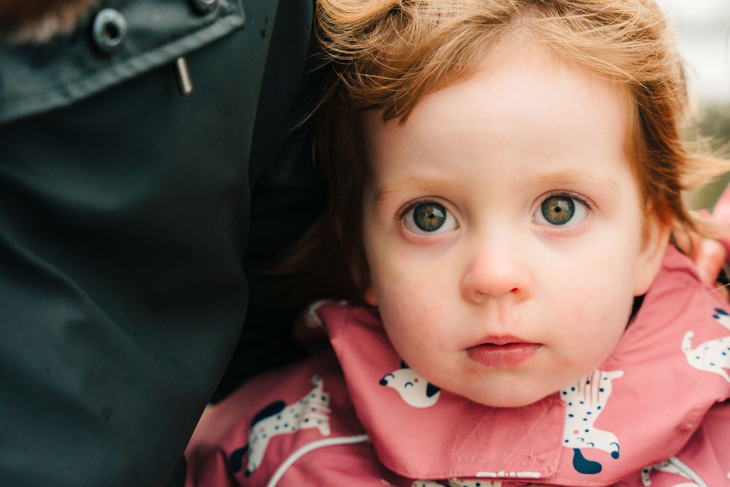 A collage of nine close-up portrait photos showing bright blue eyes and pink cheeks against dark backgrounds. PHOTOGRAPHER Dublin